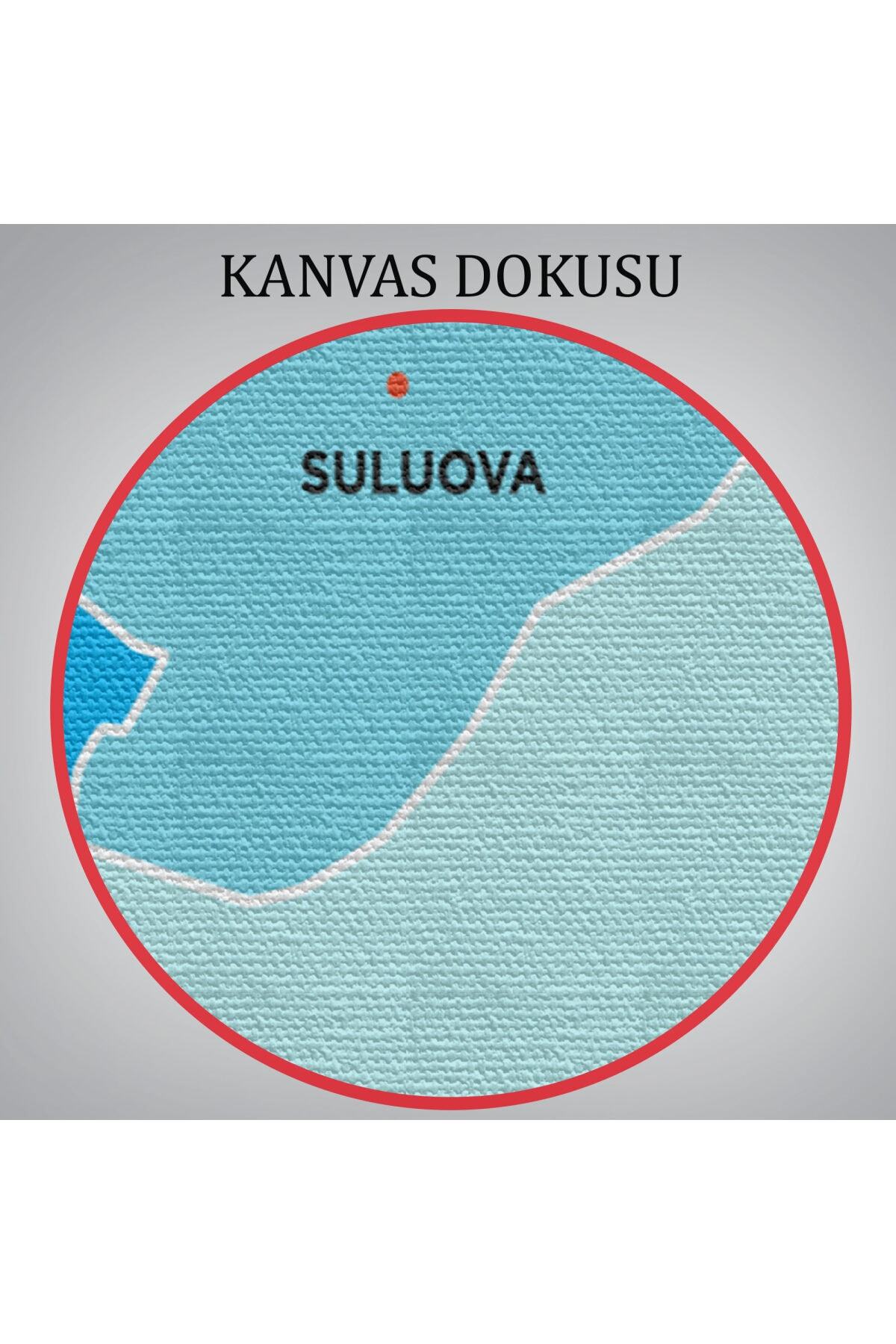 Amasya Ili Ve Ilçeler Haritası Dekoratif Kanvas Tablo görsel 6
