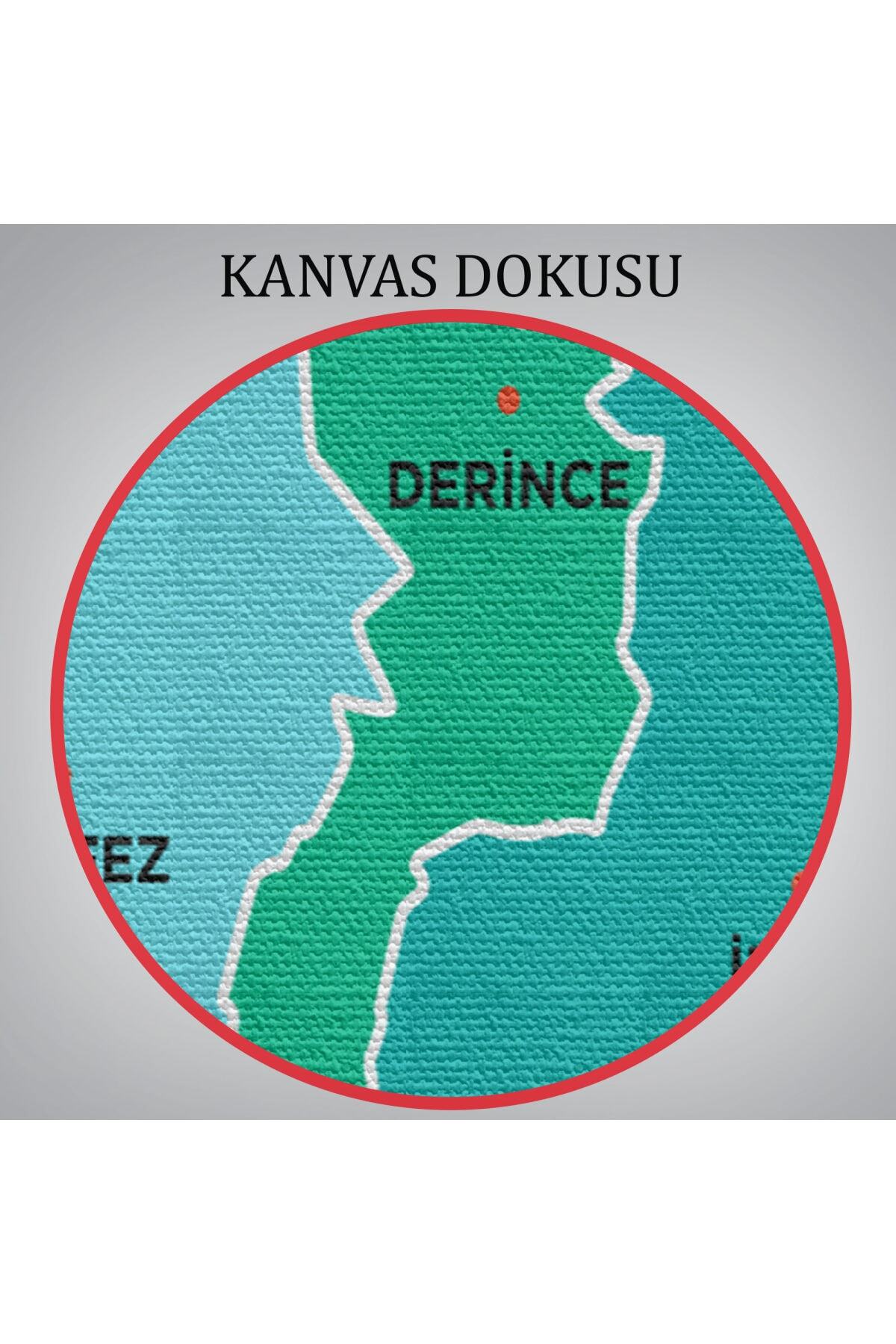Kocaeli Ili Ve Ilçeler Haritası Dekoratif Kanvas Tablo görsel 6