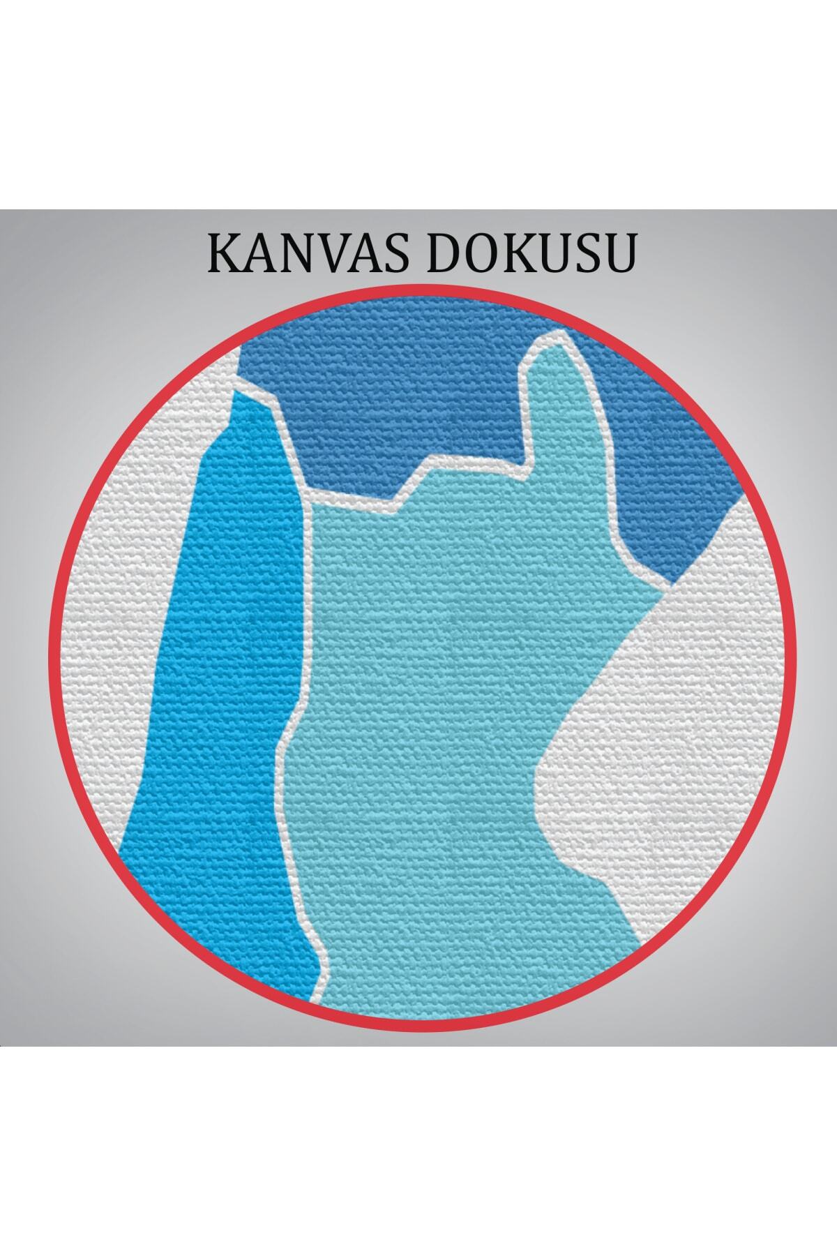 Batman Ili Ve Ilçeler Haritası Dekoratif Kanvas Tablo görsel 6