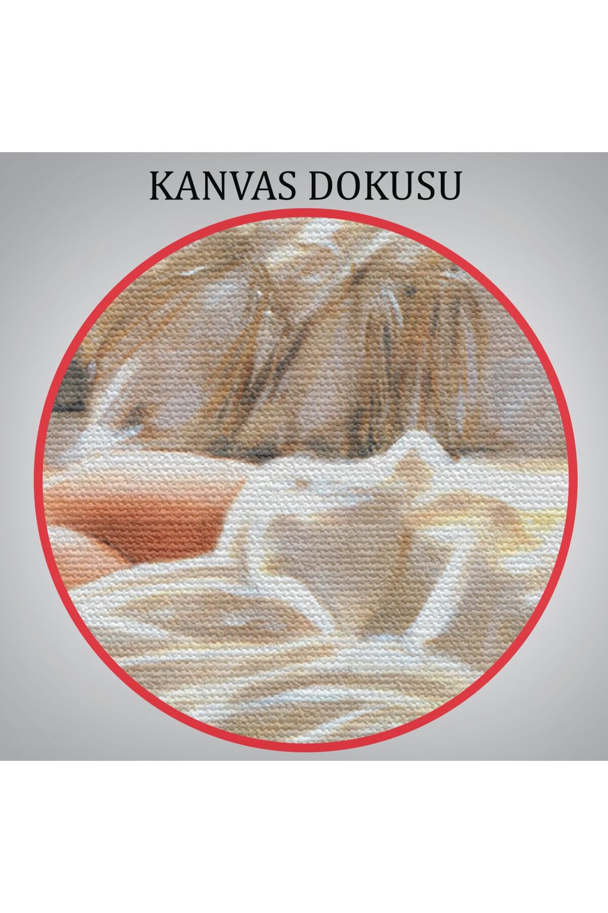 Yataktaki Güzel Kadın Dekoratif Kanvas Duvar Tablosu görsel 7