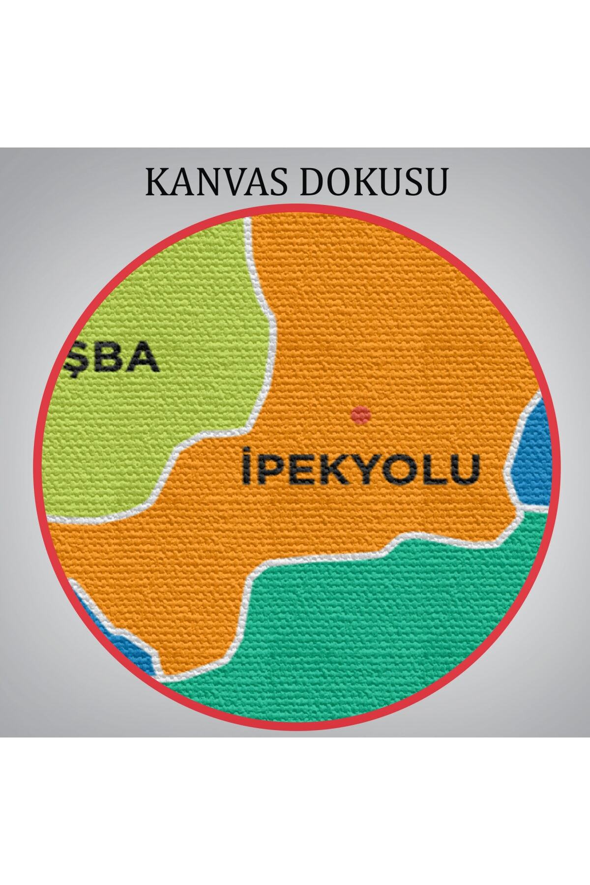 Van Ili Ve Ilçeler Haritası Dekoratif Kanvas Tablo görsel 6