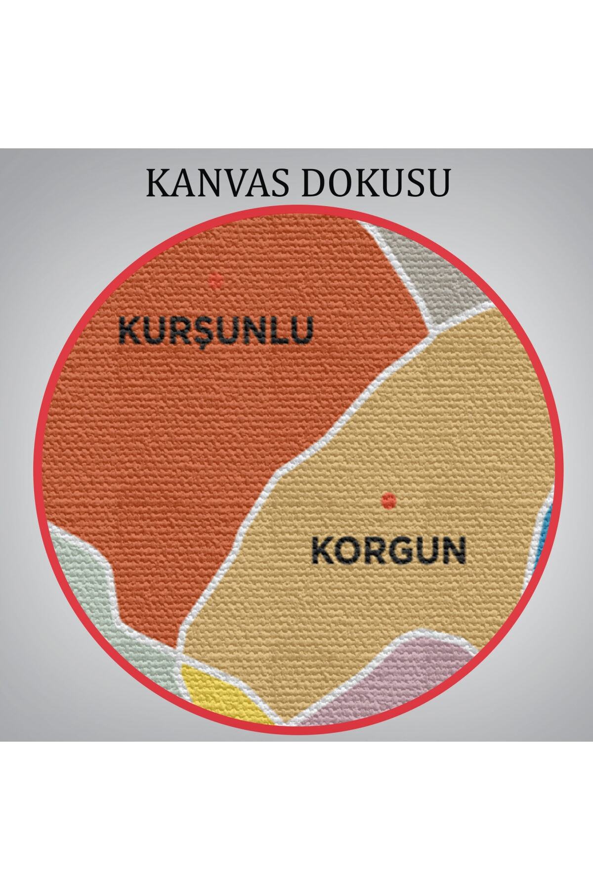 Çankırı Ili Ve Ilçeler Haritası Dekoratif Kanvas Tablo görsel 6