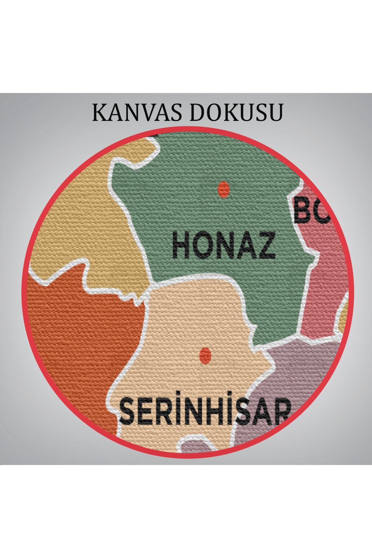 Denizli Ili Ve Ilçeler Haritası Dekoratif Kanvas Tablo görsel 6
