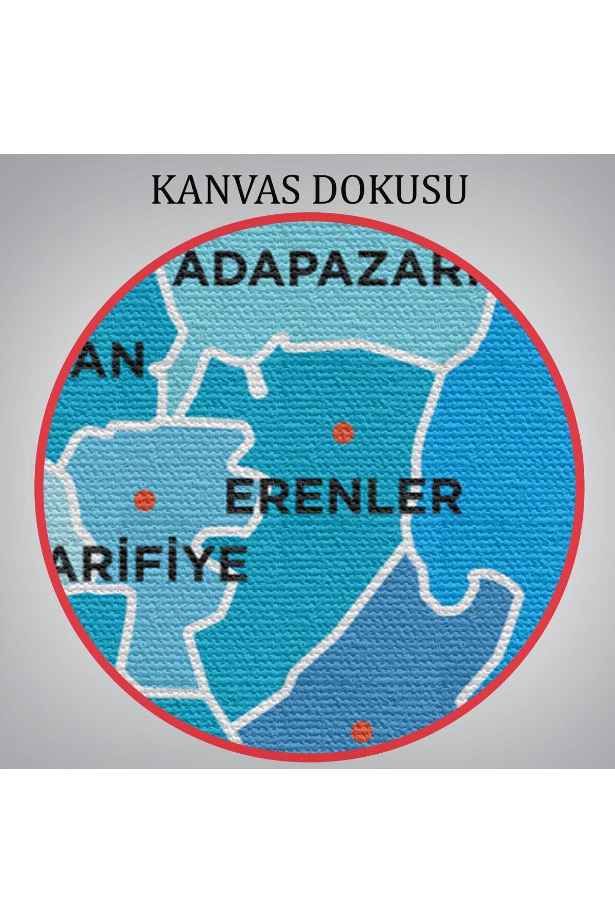 Sakarya Ili Ve Ilçeler Haritası Dekoratif Kanvas Tablo-2 görsel 6