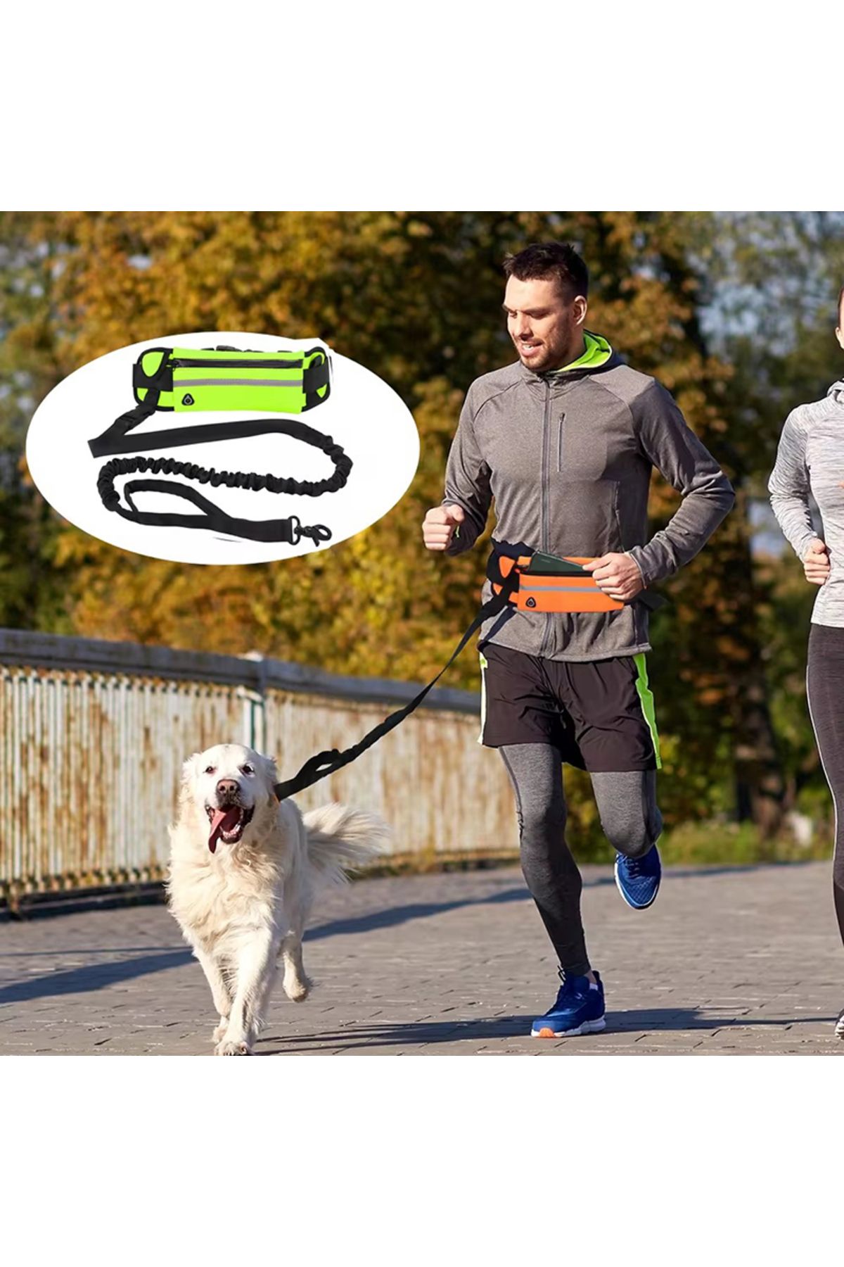 Choice-Hands Free Dog Leash for Running Walking Reflective Leash with Waist Bag Retractable Elastic Belt... 4