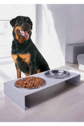 TGPET Dolcedo Xl Büyük Irk Metal Mama Kabı Standı