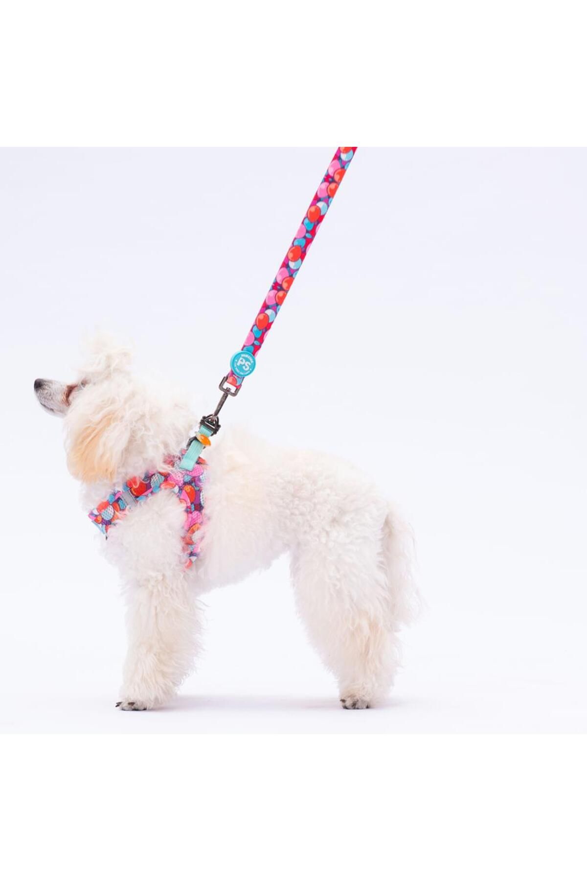 Pawstar-طوق تمديد للكلاب من Balloons Leash للقطط والكلاب 3