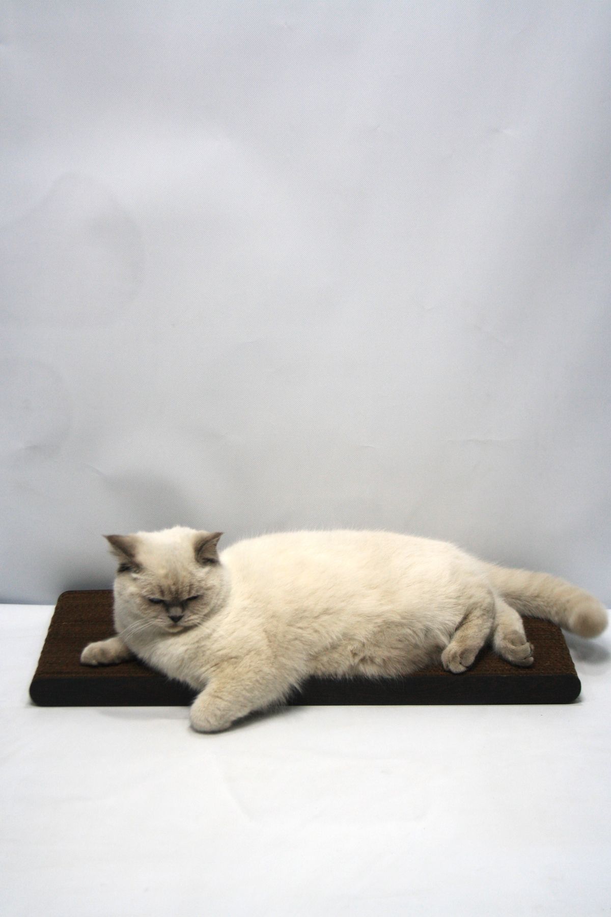 Lazy Paws-2 Pieces - Cat Scratch Cardboard - 60X24 cm - Mdf Edge 1