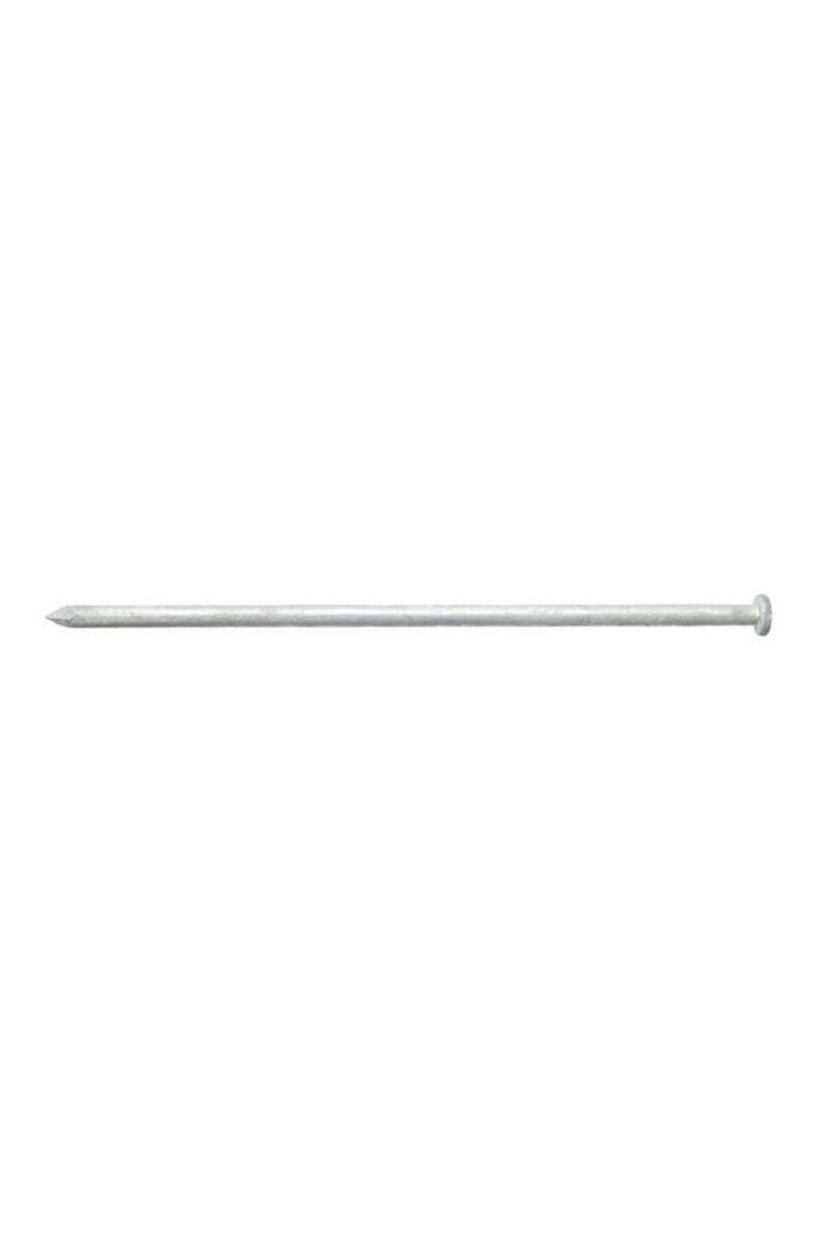 ACE-Diamond Point Flat Head  Galvanized Steel Spike Nail 10inch 1