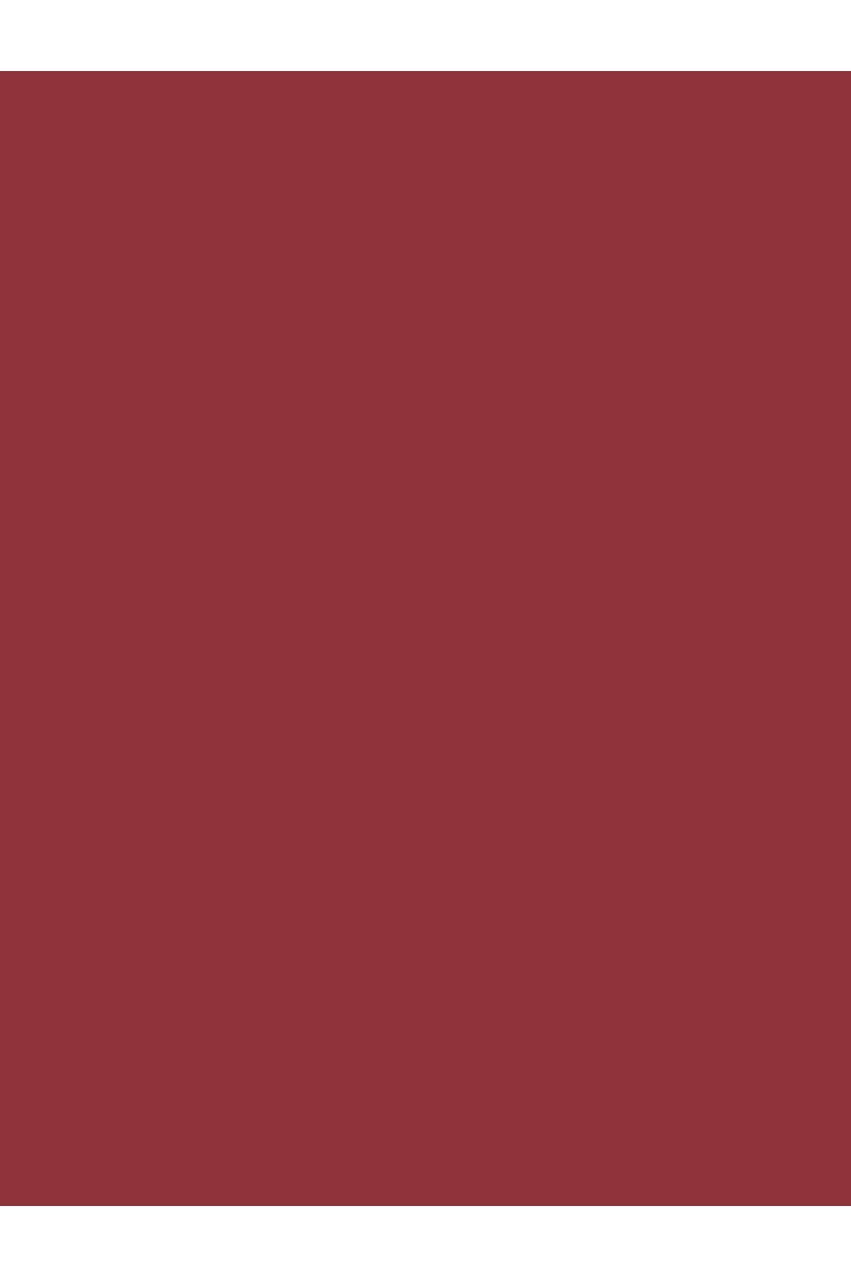 beaulis-Fun Sweet Talk Blur Lipstick Lipstick Liquid Intense Pigment 3