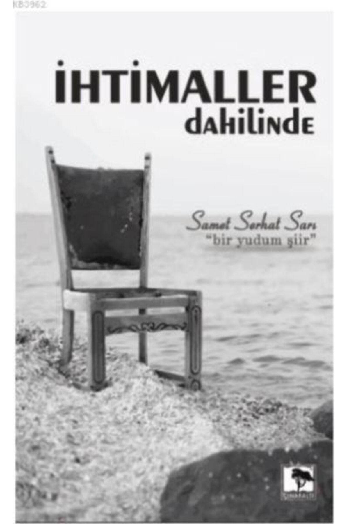 Çınaraltı Yayınları İhtimaller Dahilinde