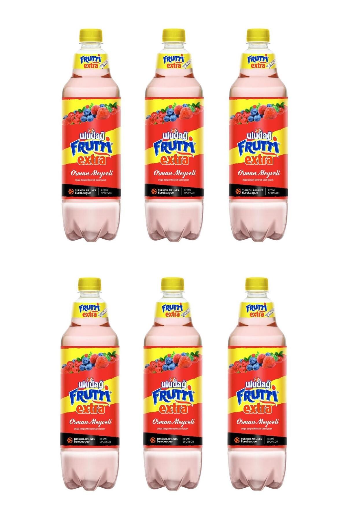 Uludağ Uludağ Frutti Extra Orman Meyveli 1 Lt X 6 Adet