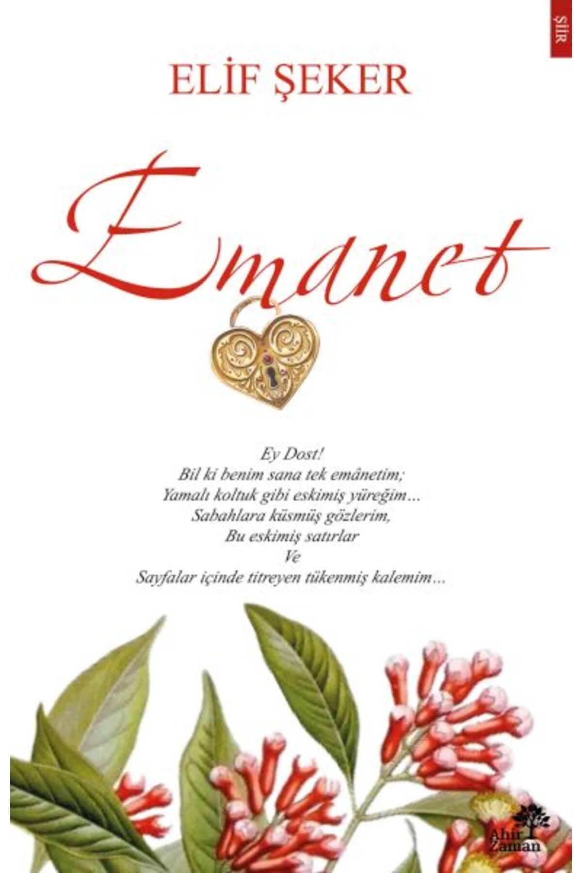 Az Kitap Emanet