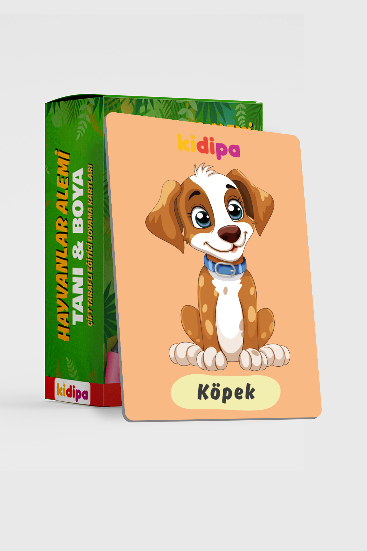 Kidipa | Hayvanlar Alemi Tanı & Boya - Çift Taraflı Eğitici Boyama Kartları 30 Sticker Hediye fotoğrafı 5 (önizleme)