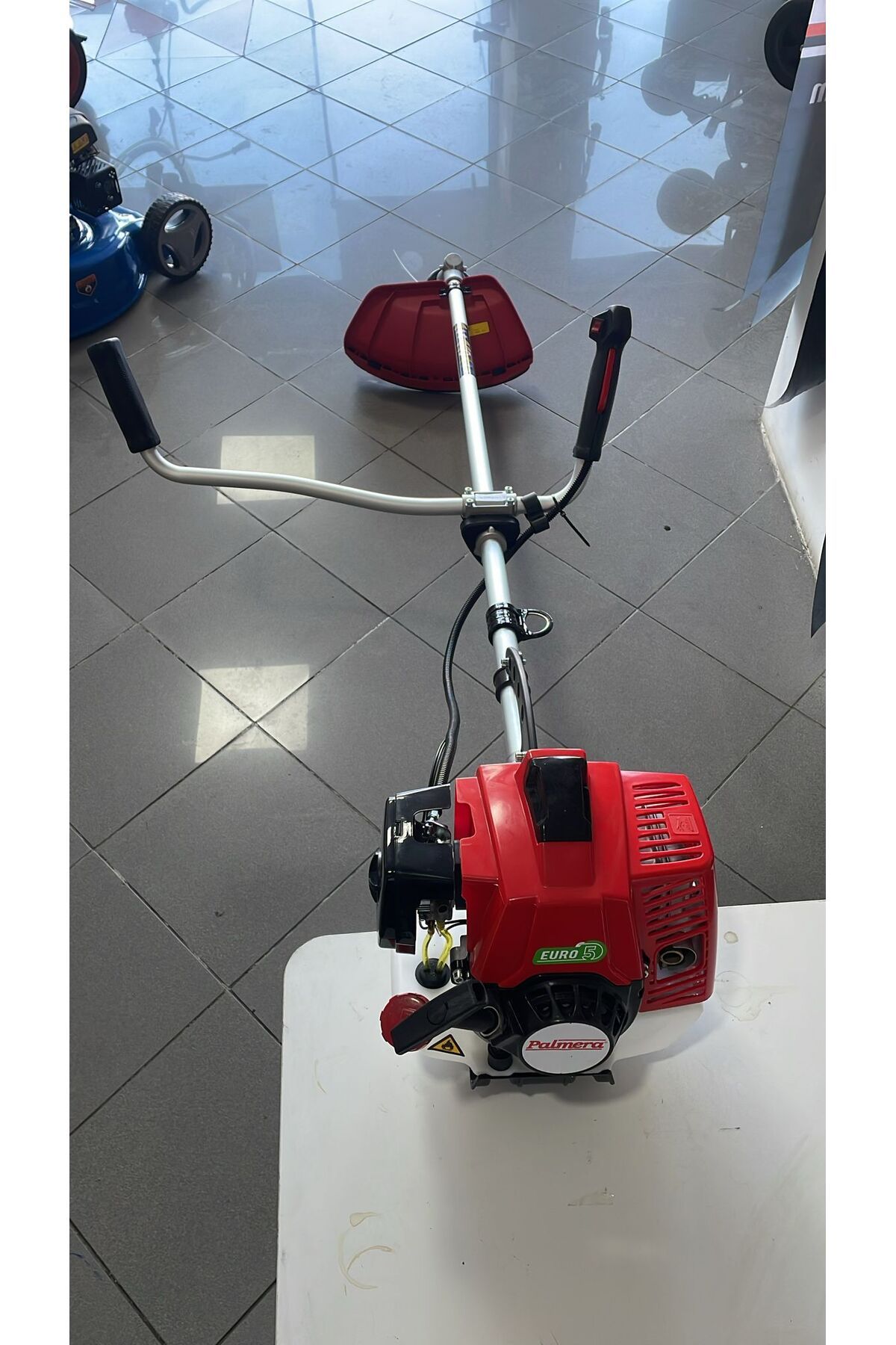 Palmera MOTORLU TIRPAN CG63