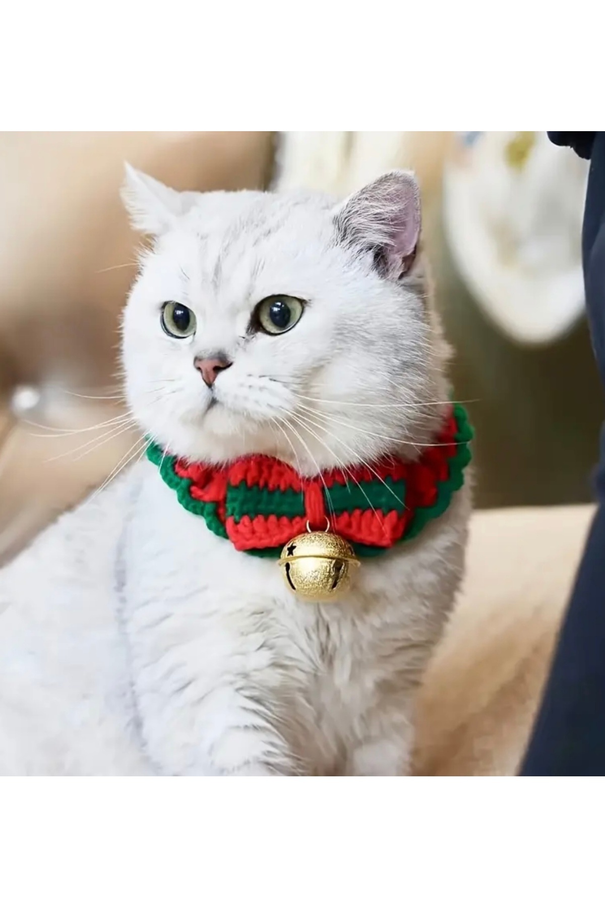 Animalovers EVCİL HAYVAN ATKISI ZİLLİ RAHAT ÖRME KEDİLER VE KÖPEKLER İÇİN NOEL AKSESUARI