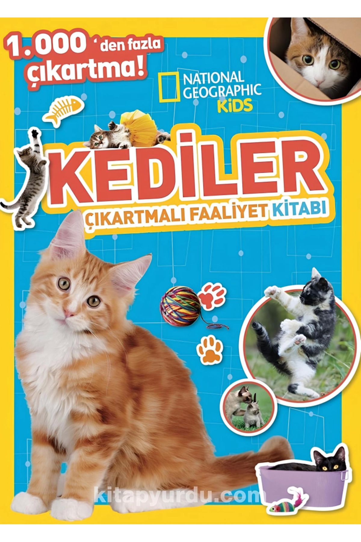 gcaksesuar Nessiworld  Kids Kediler Çıkartmalı Faaliyet Kitabı