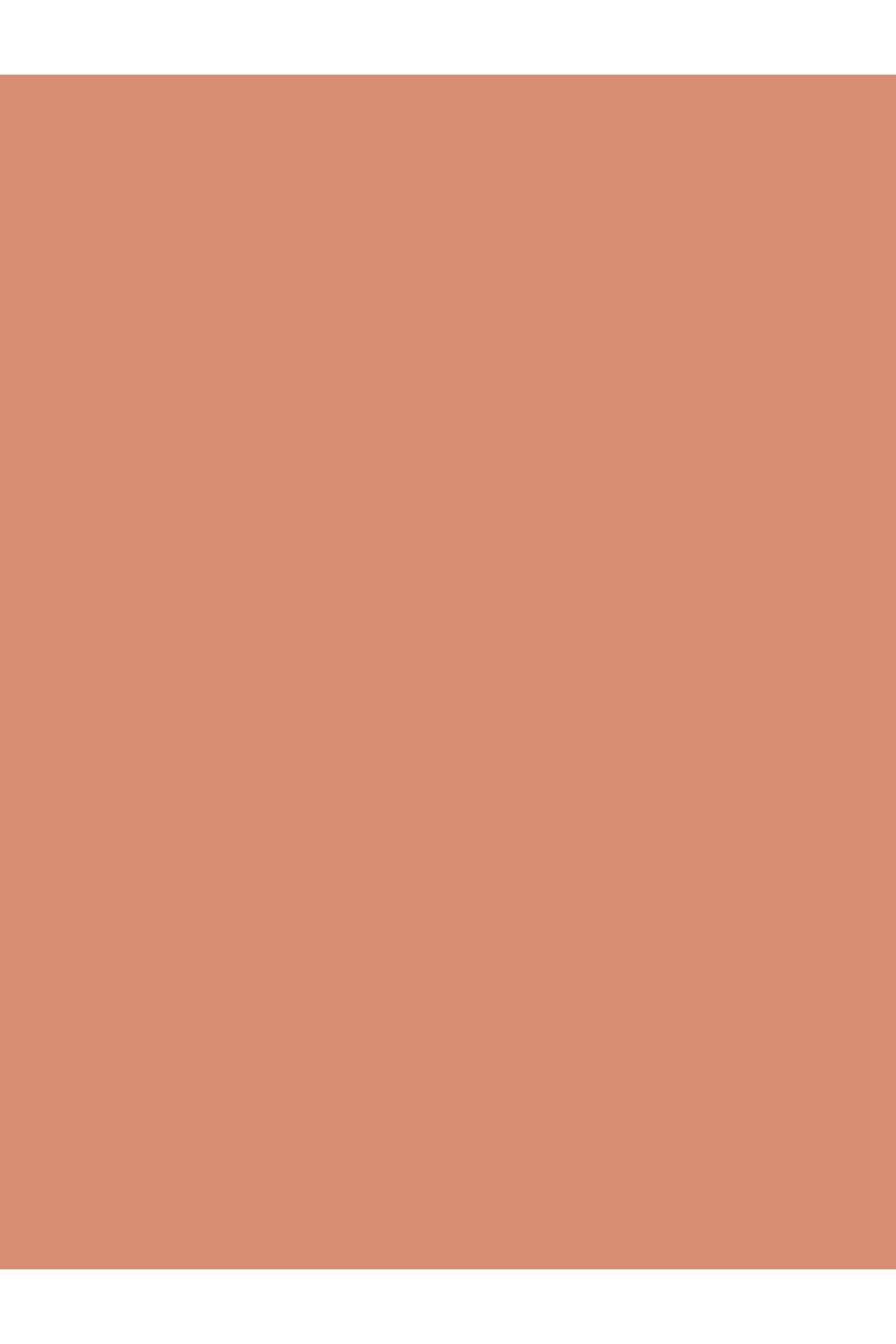 beaulis-Beaulis New Brand - Fun Sugar Softness Powder Blush 243 Coral Crush Blush 3