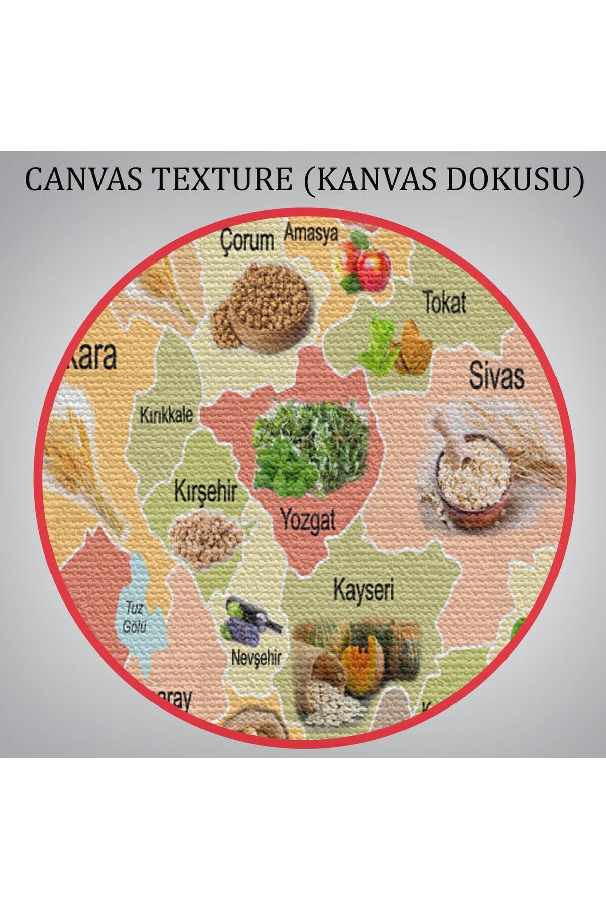 Tarım Ürünleri Yerli Malı Haftası Türkiye Haritası Kanvas Tablo görsel 7