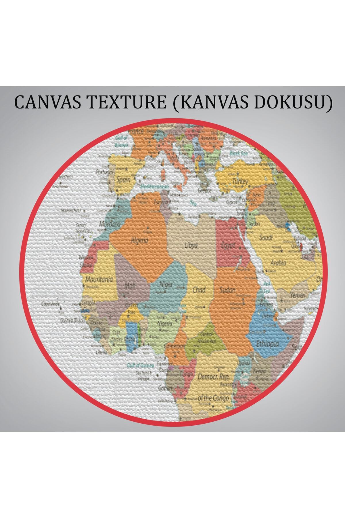 Dünya Haritası Dekoratif Kanvas Tablo görsel 7