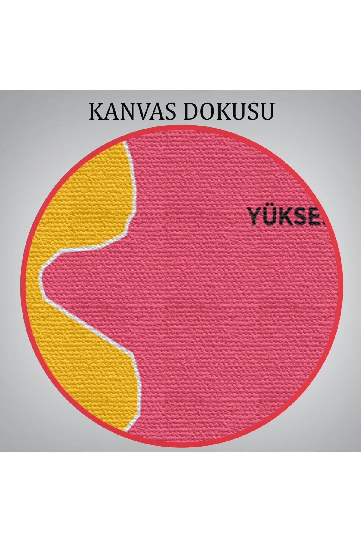 Hakkari Ili Ve Ilçeler Haritası Dekoratif Kanvas Tablo görsel 6