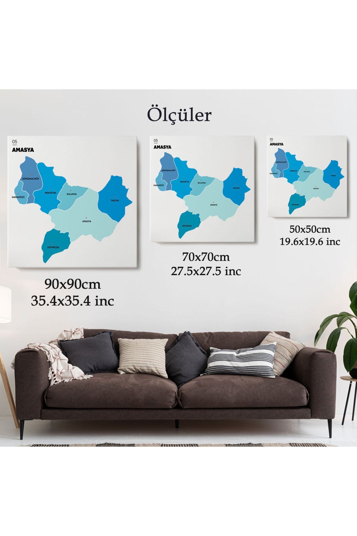 Amasya Ili Ve Ilçeler Haritası Dekoratif Kanvas Tablo görsel 5