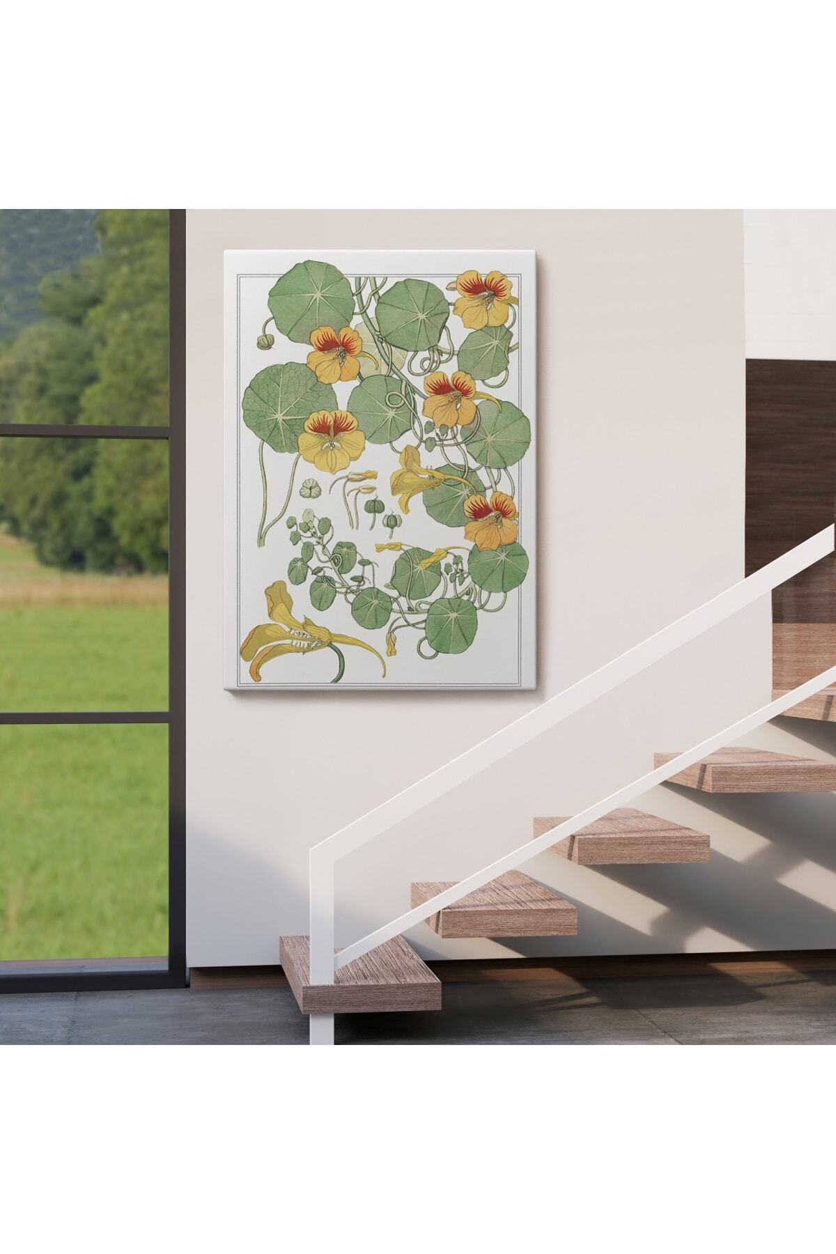 Nasturtium Çiçeği Kanvas Tablo görsel 4