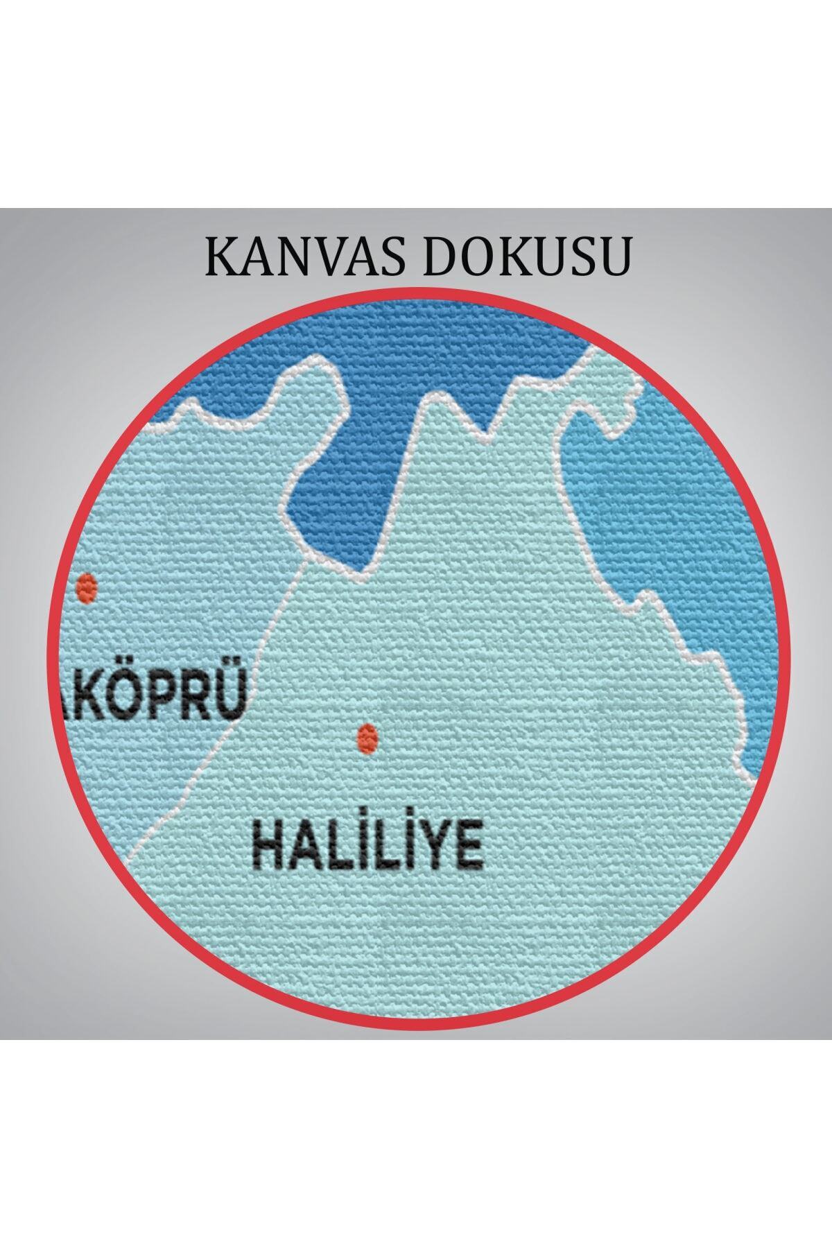 Şanlıurfa Ili Ve Ilçeler Haritası Dekoratif Kanvas Tablo-2 görsel 6