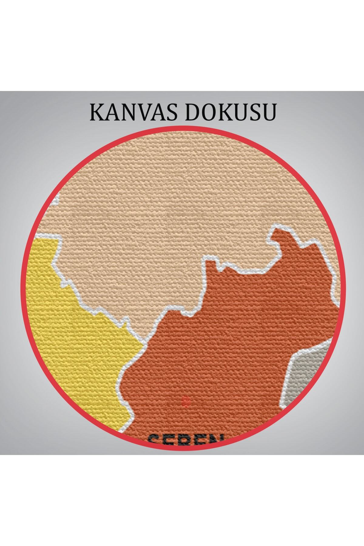 Bolu Ili Ve Ilçeler Haritası Dekoratif Kanvas Tablo görsel 6