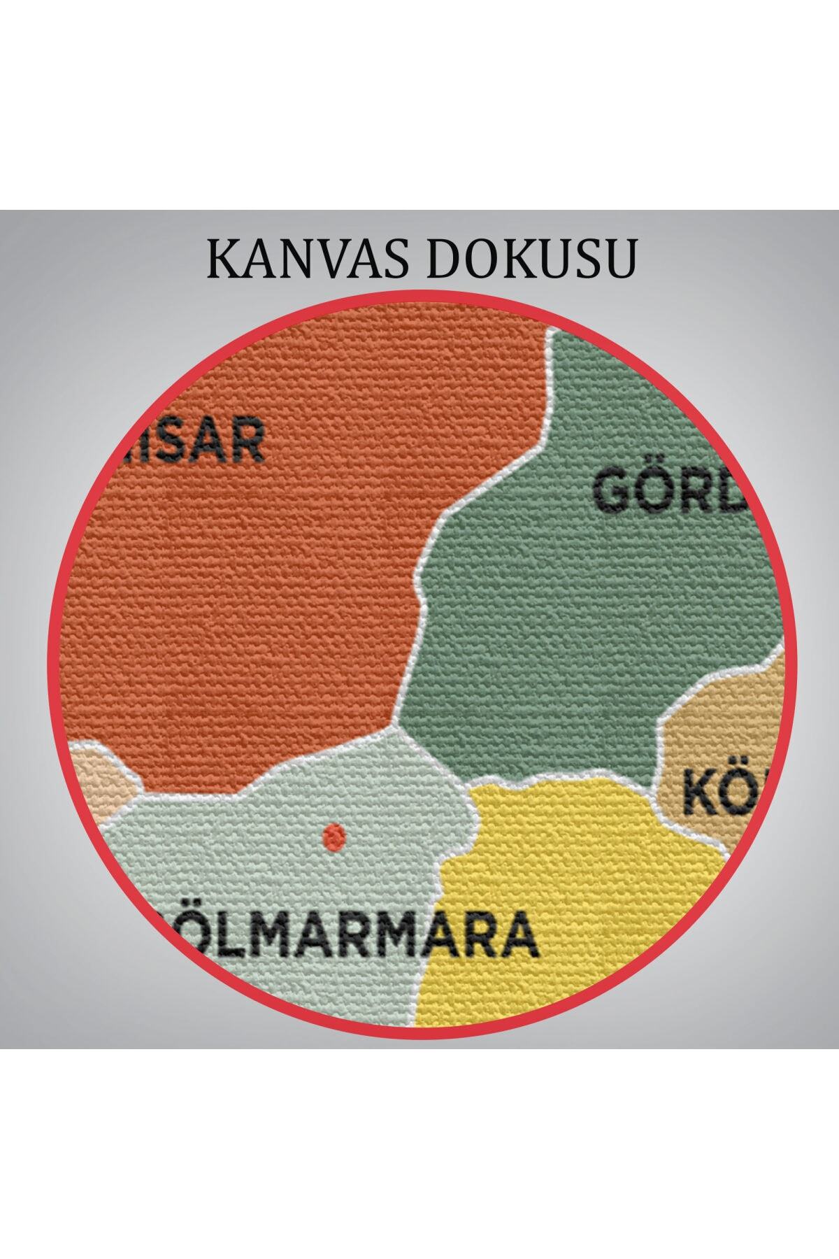 Manisa Ili Ve Ilçeler Haritası Dekoratif Kanvas Tablo görsel 6