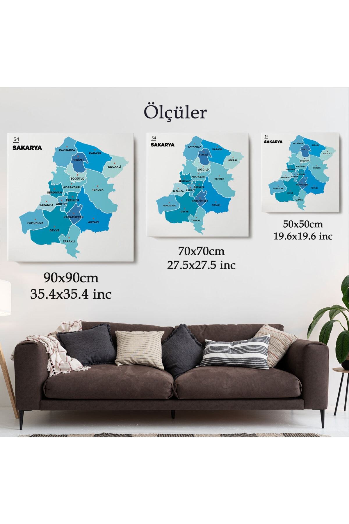 Sakarya Ili Ve Ilçeler Haritası Dekoratif Kanvas Tablo-2 görsel 5