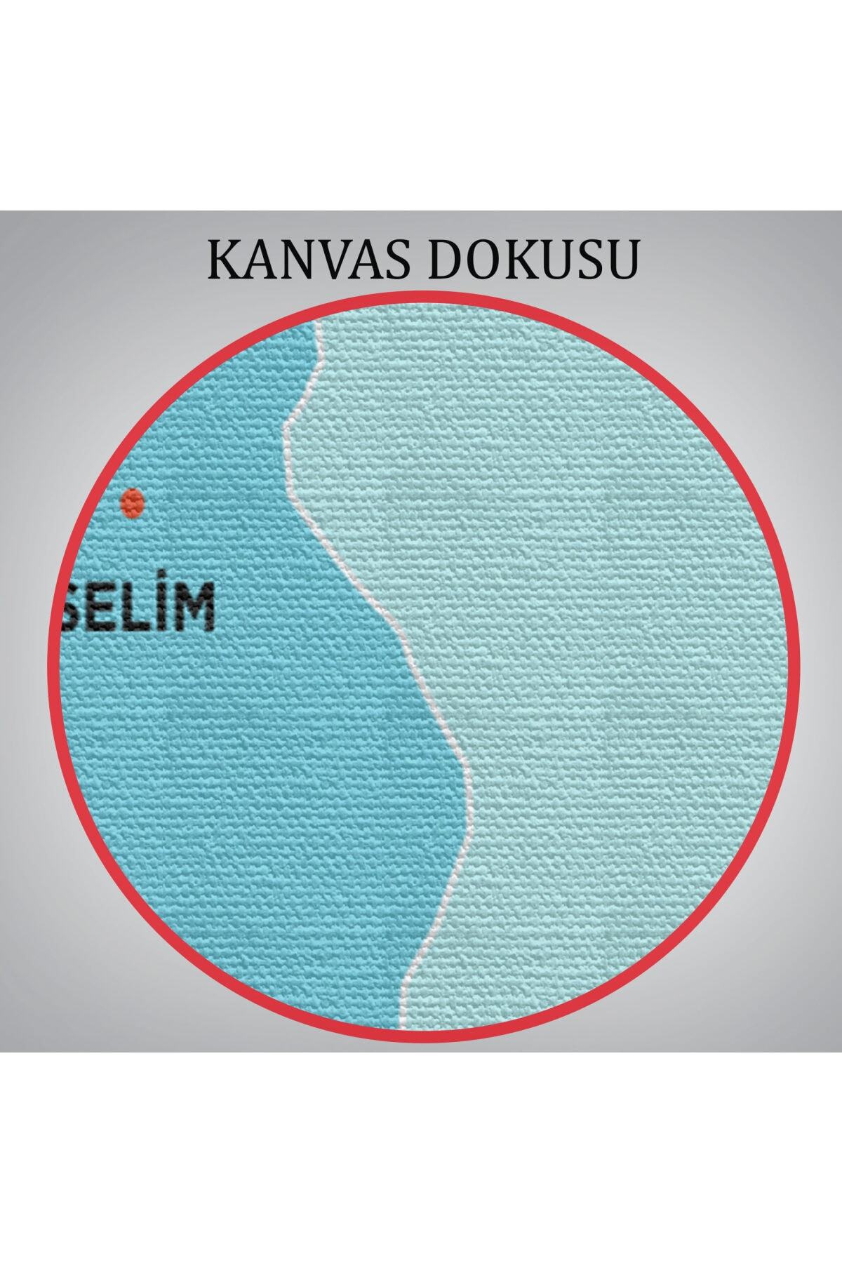 Kars Ili Ve Ilçeler Haritası Dekoratif Kanvas Tablo-1 görsel 6