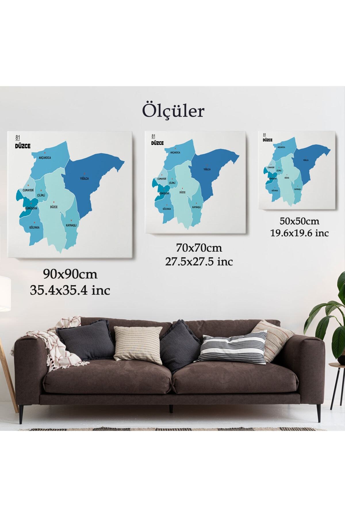 Düzce Ili Ve Ilçeler Haritası Dekoratif Kanvas Tablo görsel 5