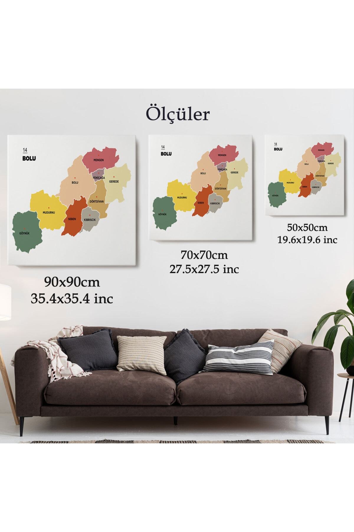 Bolu Ili Ve Ilçeler Haritası Dekoratif Kanvas Tablo görsel 5