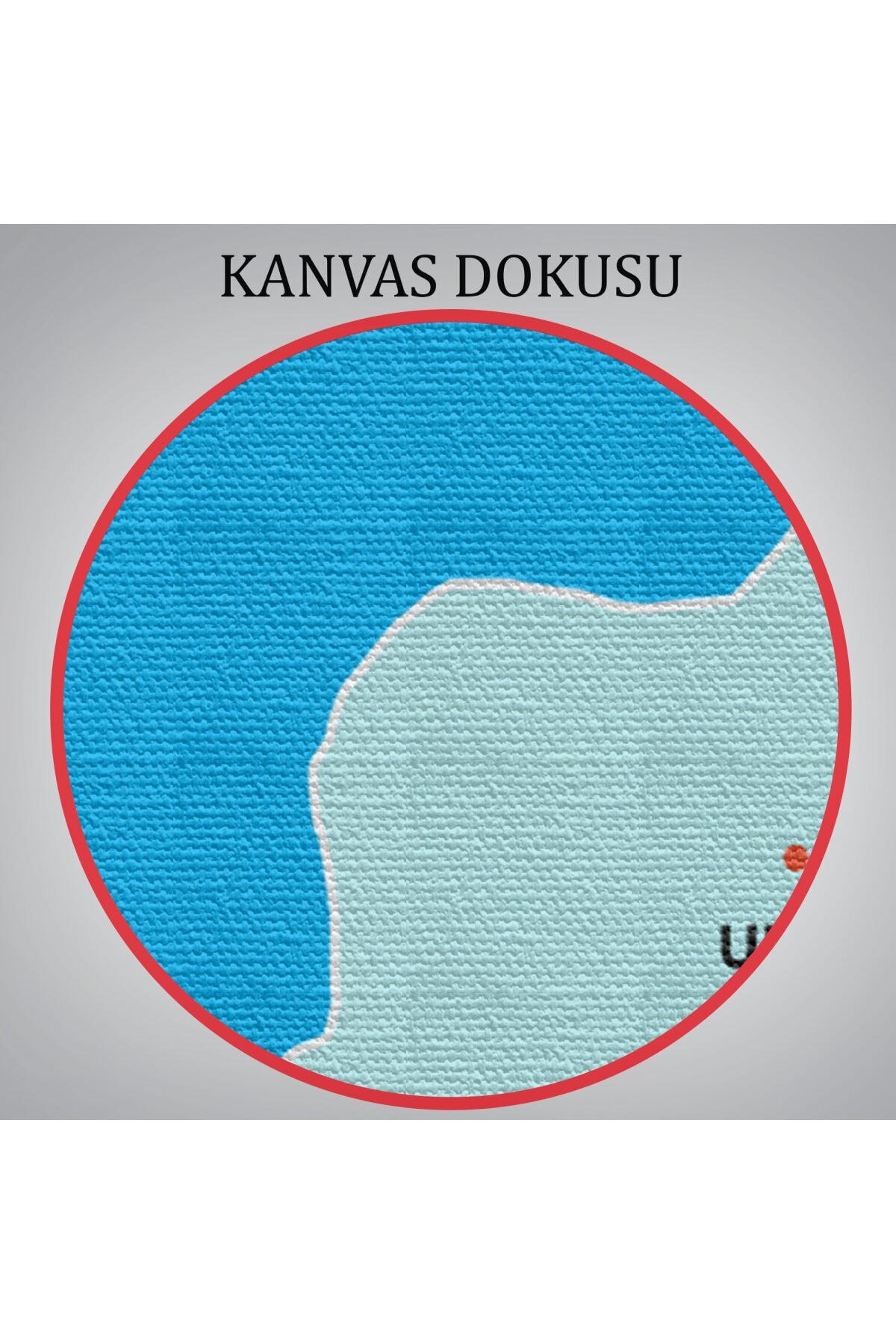 Bartın Ili Ve Ilçeler Haritası Dekoratif Kanvas Tablo-1 görsel 6