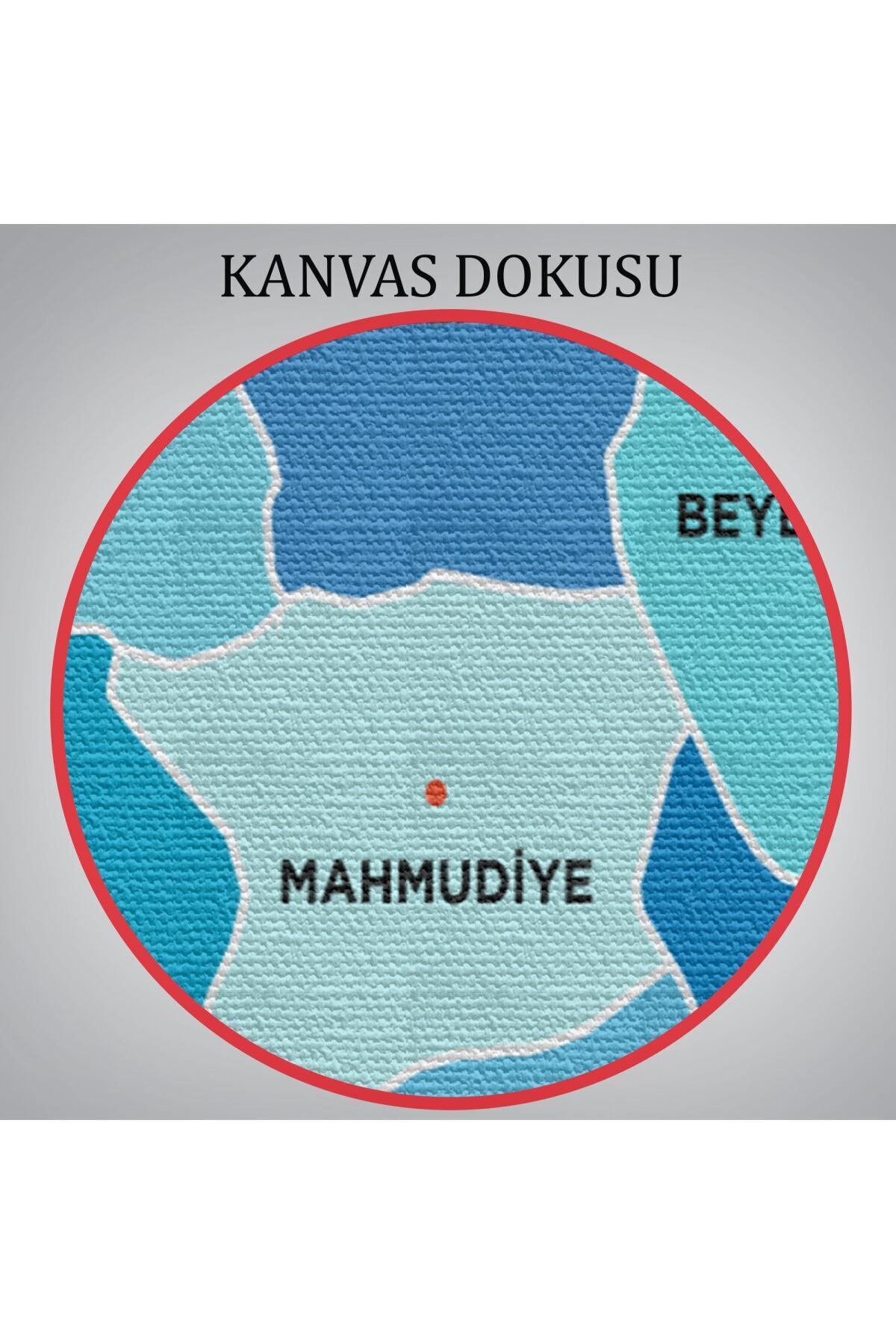 Eskişehir Ili Ve Ilçeler Haritası Dekoratif Kanvas Tablo-1 görsel 6