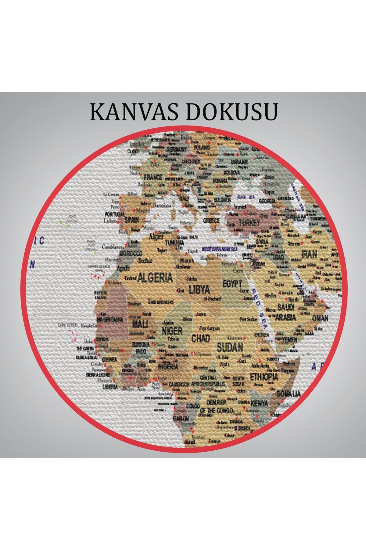 Detaylı Dünya Haritası Dekoratif Renkli Zeminli Kanvas Tablo görsel 7