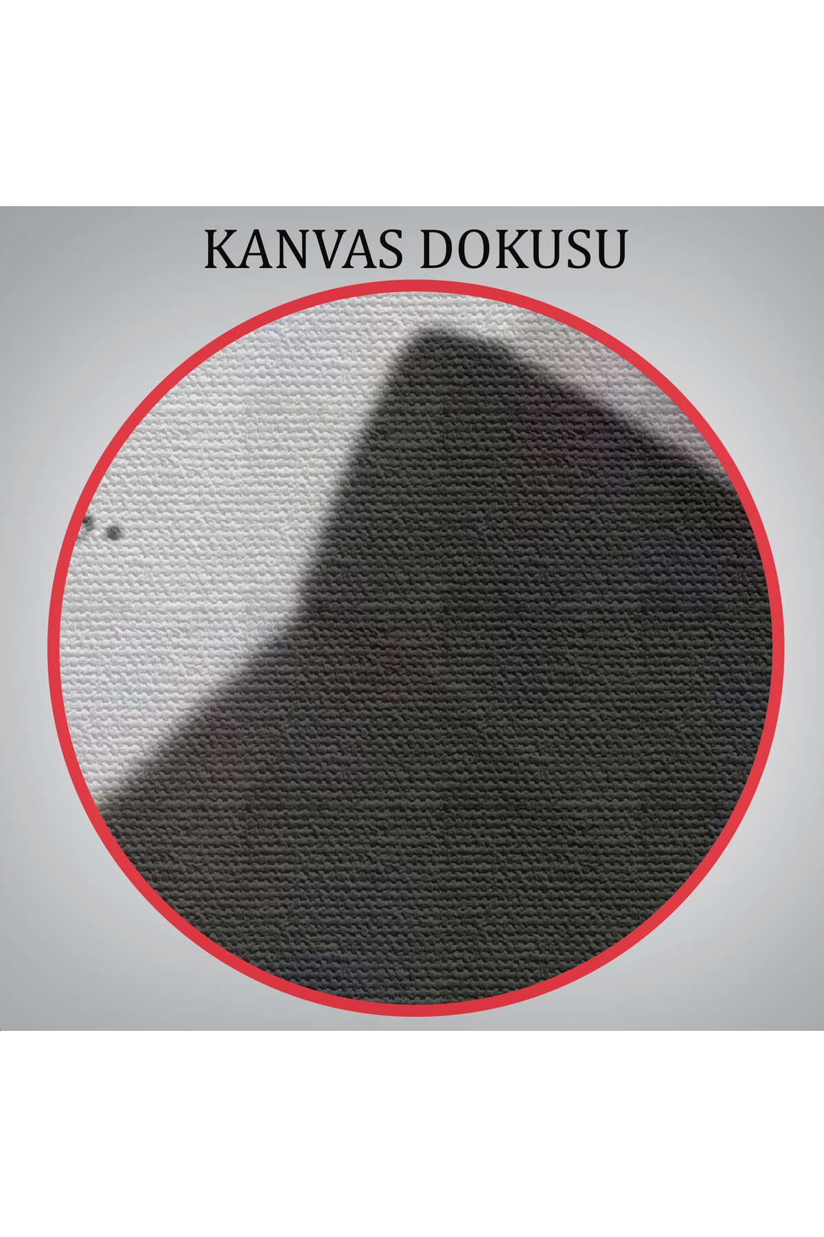 Atatürk Portre Tablosu Mustafa Kemal Atatürk Dikdörtgen Dekoratif Kanvas Tablo-1 görsel 6