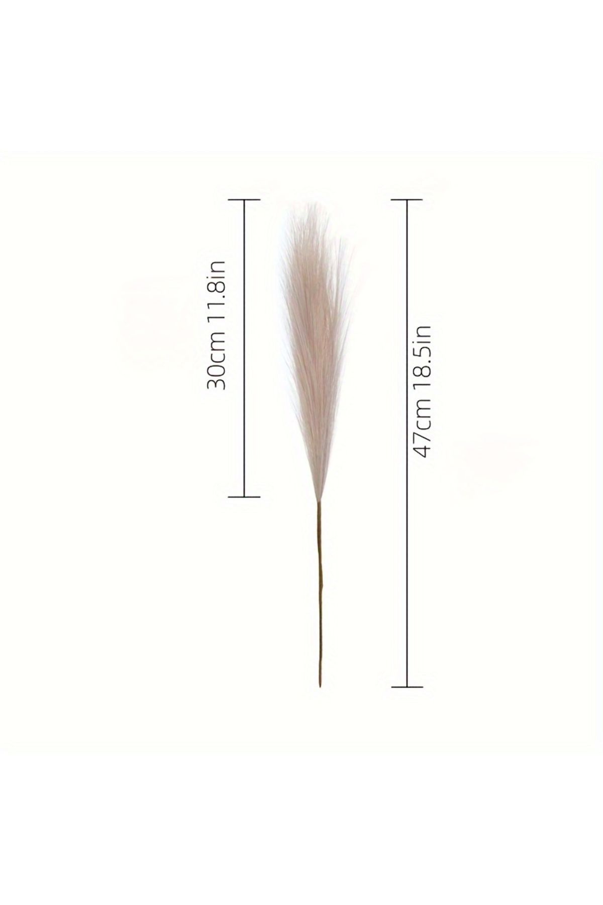 Choice-10pcs Faux Pampas Grass, Pampas Grass For Floor Vase, Pampas Grass Decor Tall For Vase Fillers, B... 7