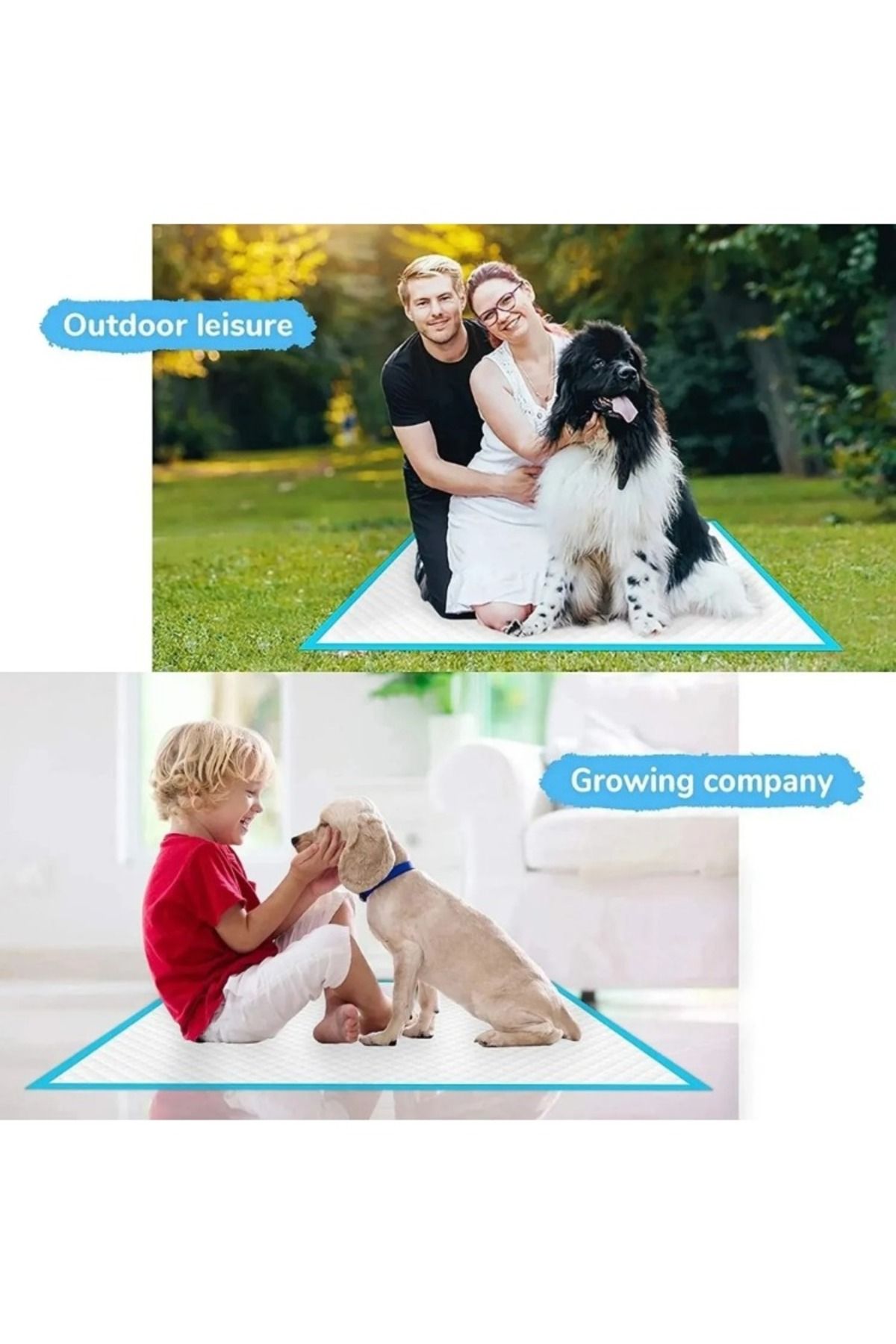 Choice-20/40/50/100pcs Dog Disposable Urine Pads, Dog Diapers High Absorbent Pet Cage Pads Puppy Potty T... 8