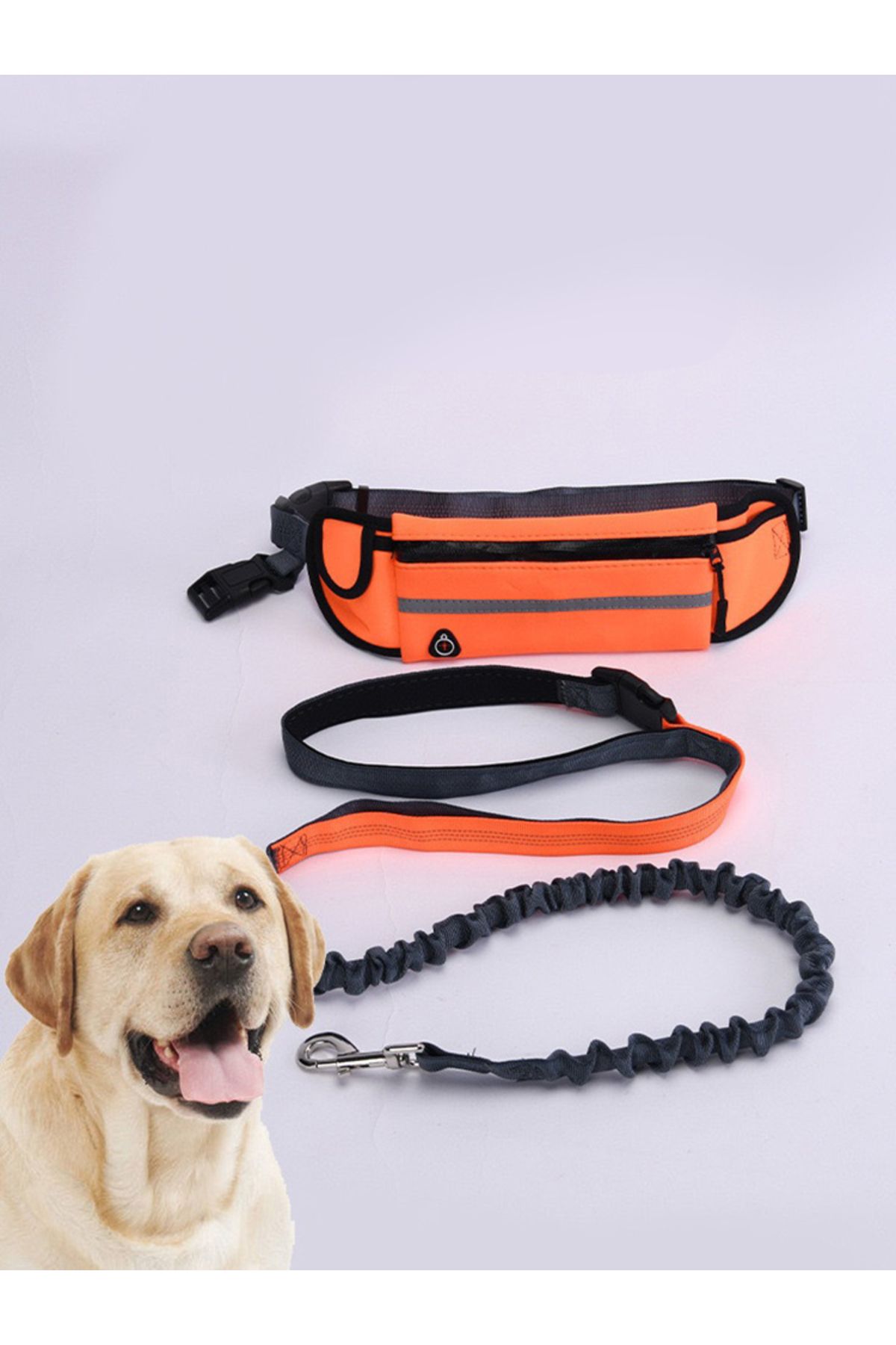 Choice-Hands Free Dog Leash for Running Walking Reflective Leash with Waist Bag Retractable Elastic Belt... 8