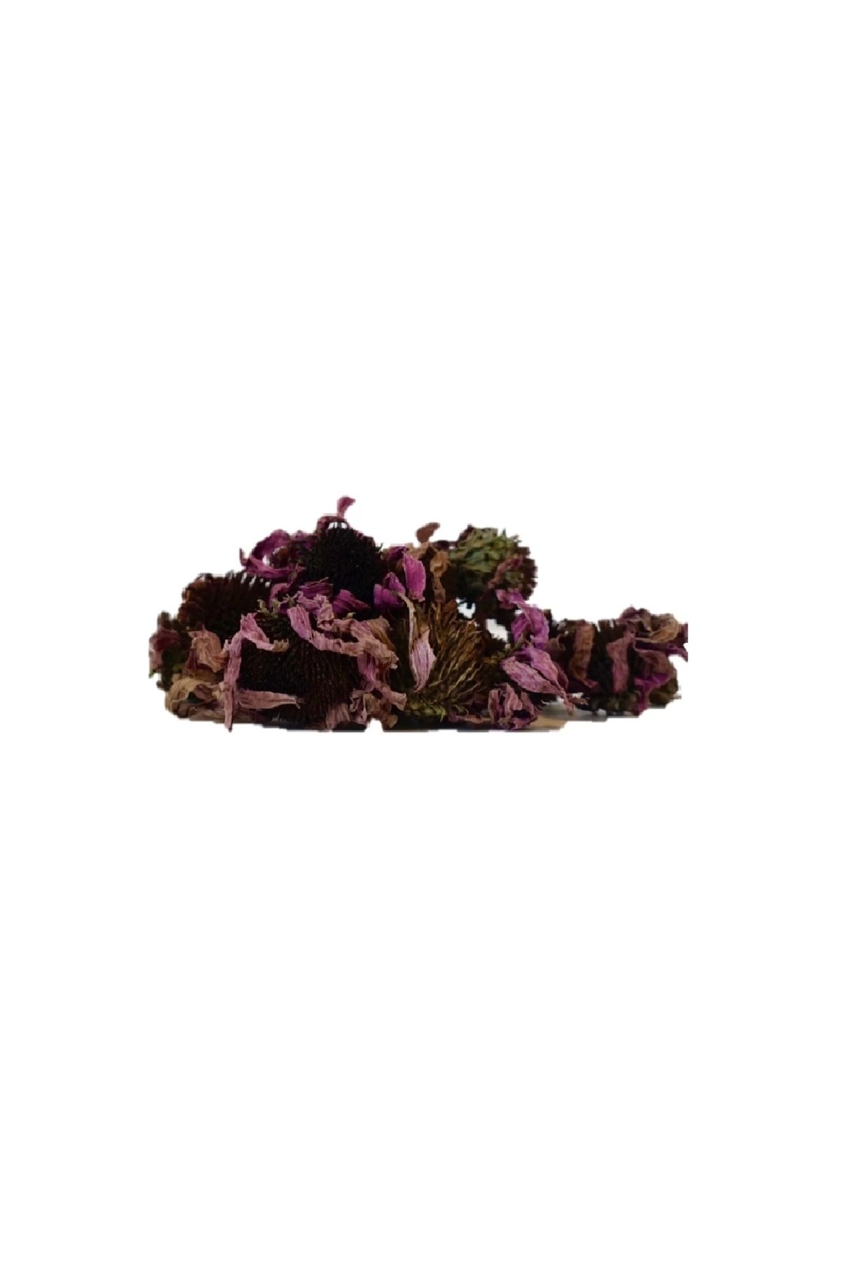 DVD Lokman Aktar-Echinacea Flower 40 g (Pack-Plant) 1 Piece 3