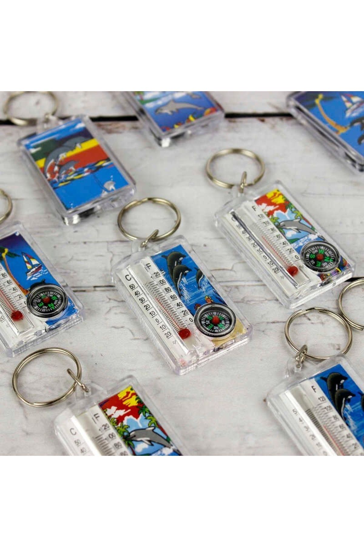 naque-Thermometer Graduated and Patterned Compass Keychain 2