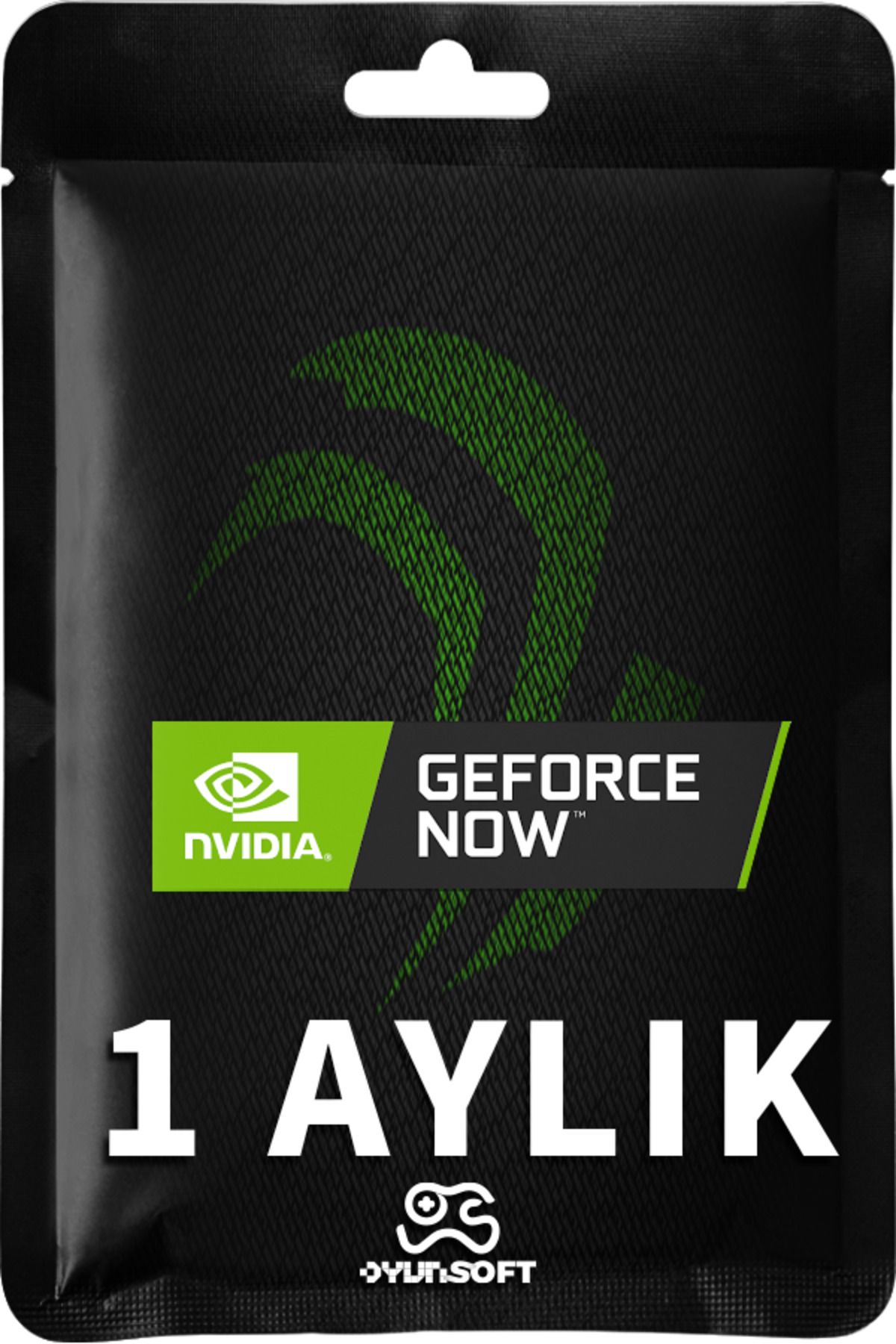 GeForce Now 1 Aylık