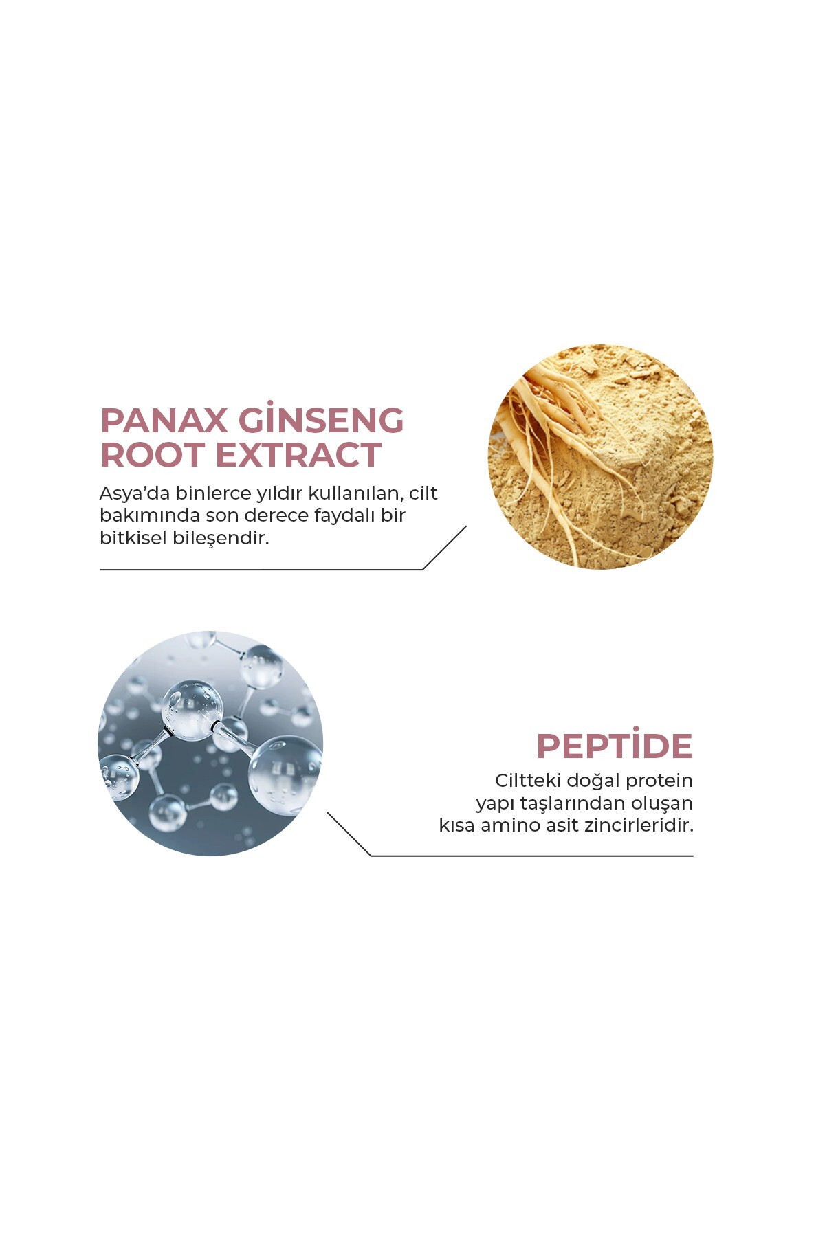 Cilt Yenileyici, Onarıcı, Kırışıklık ve Çizgi Azaltıcı Ginseng & Peptide Serum 30 ML — BNN005 — تصویر 4 از 5