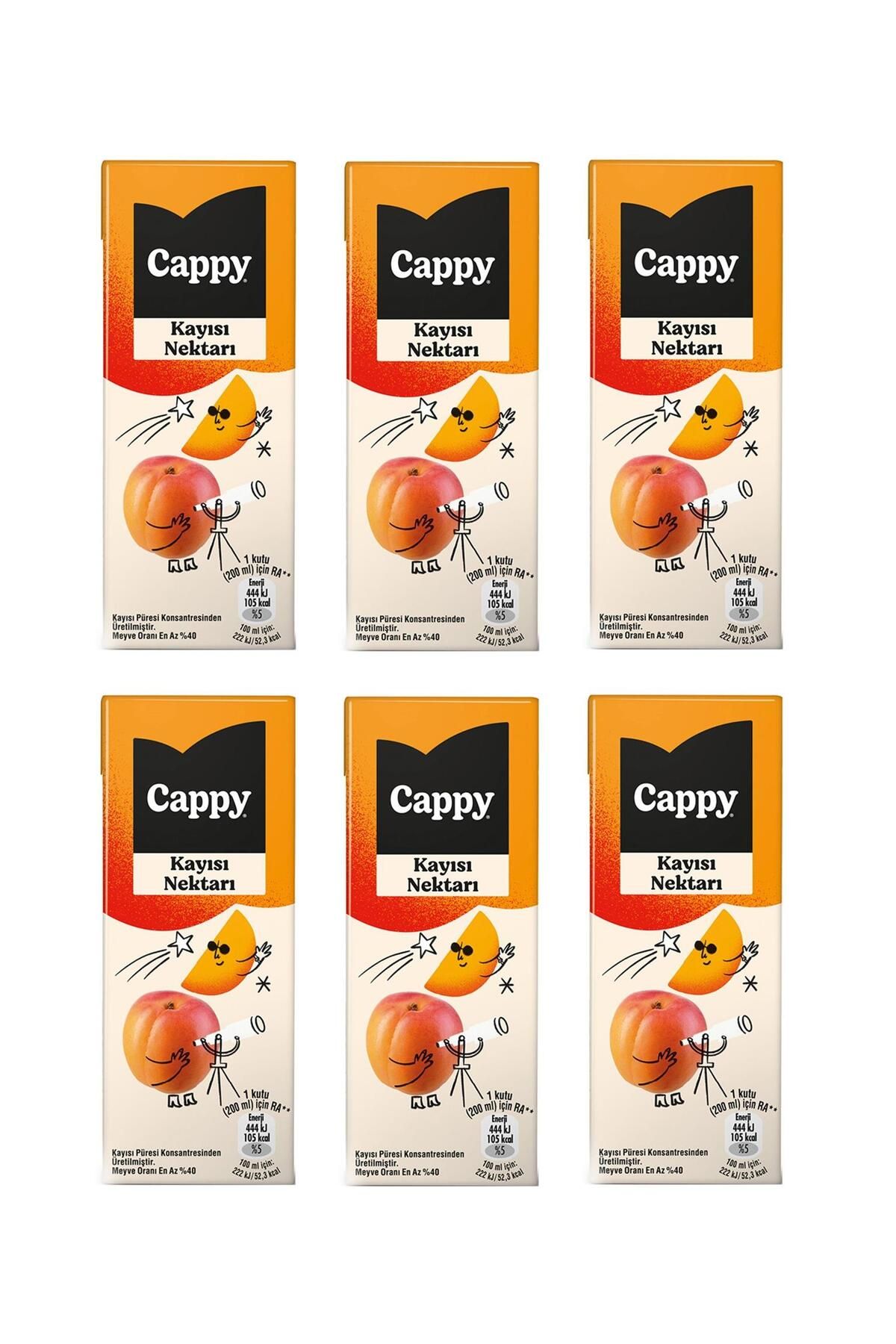 Cappy Bahçe Kayısı Nektarı 200 Ml X 6 Adet