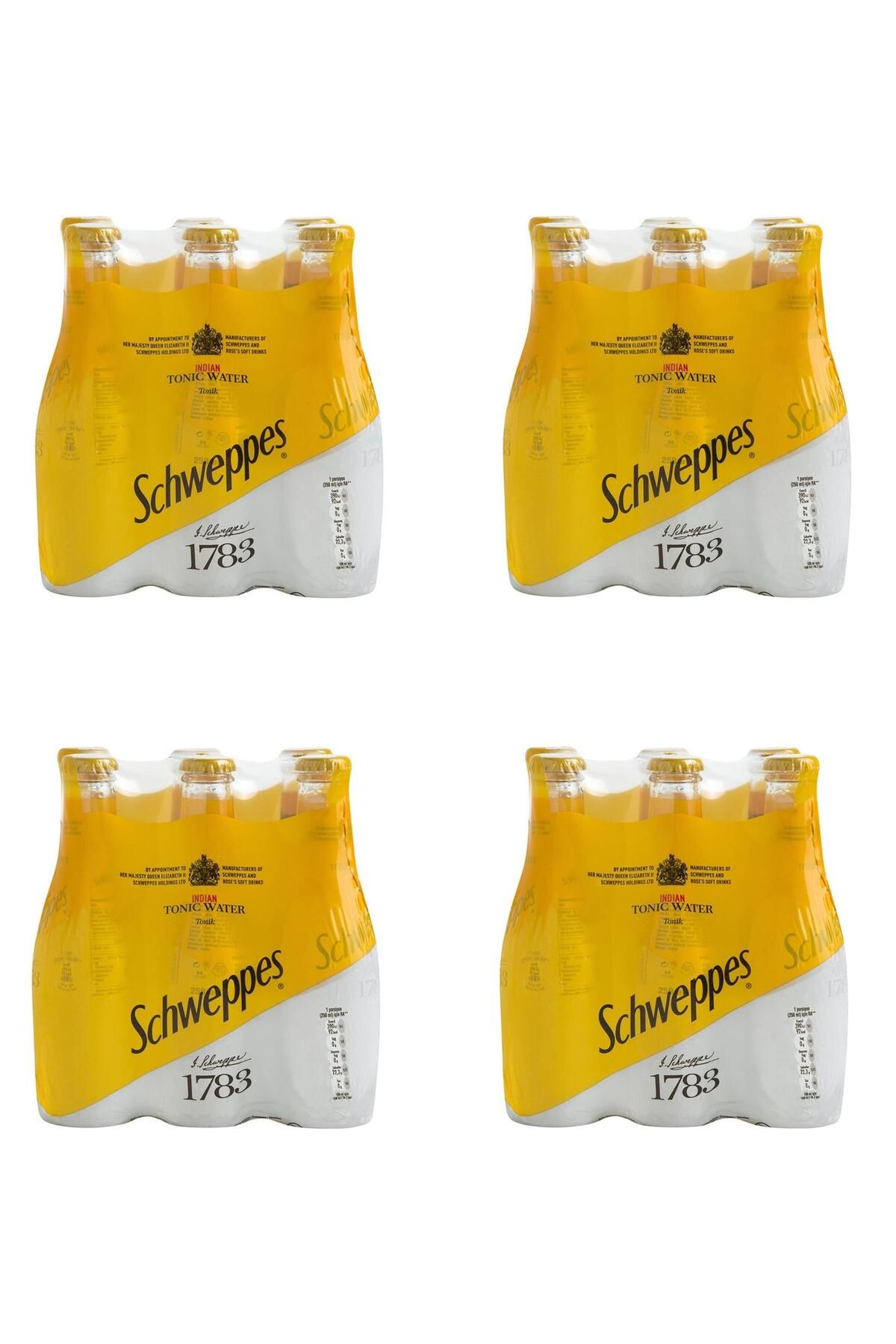 Schweppes Tonik Cam 250 Ml X 24 Adet