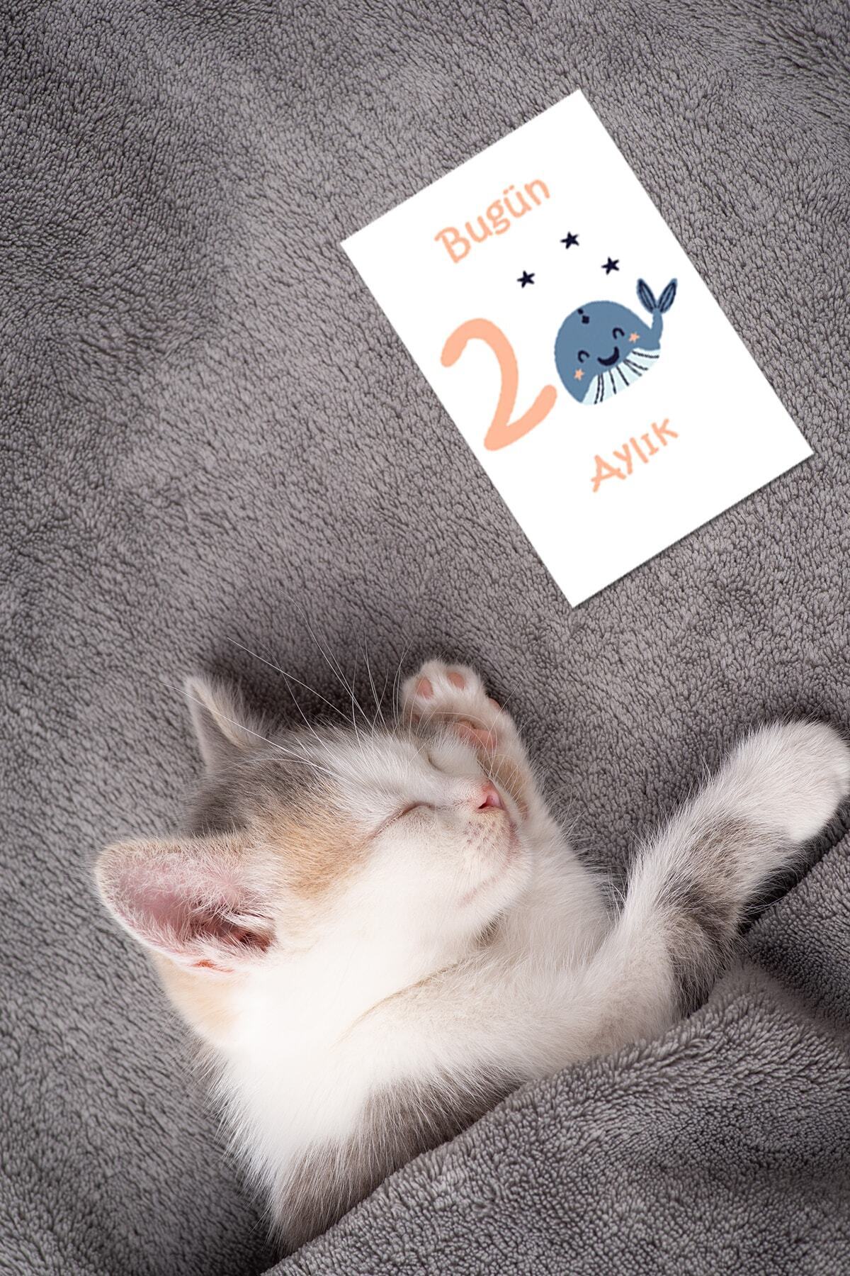 Moky Design Bebek Aylık Anı Kartları, Ay Konsept Fotoğraf Çekimi Hatırası İçin 12'li, Yenidoğan Bebek Hediyeleri fotoğrafı 6 (önizleme)