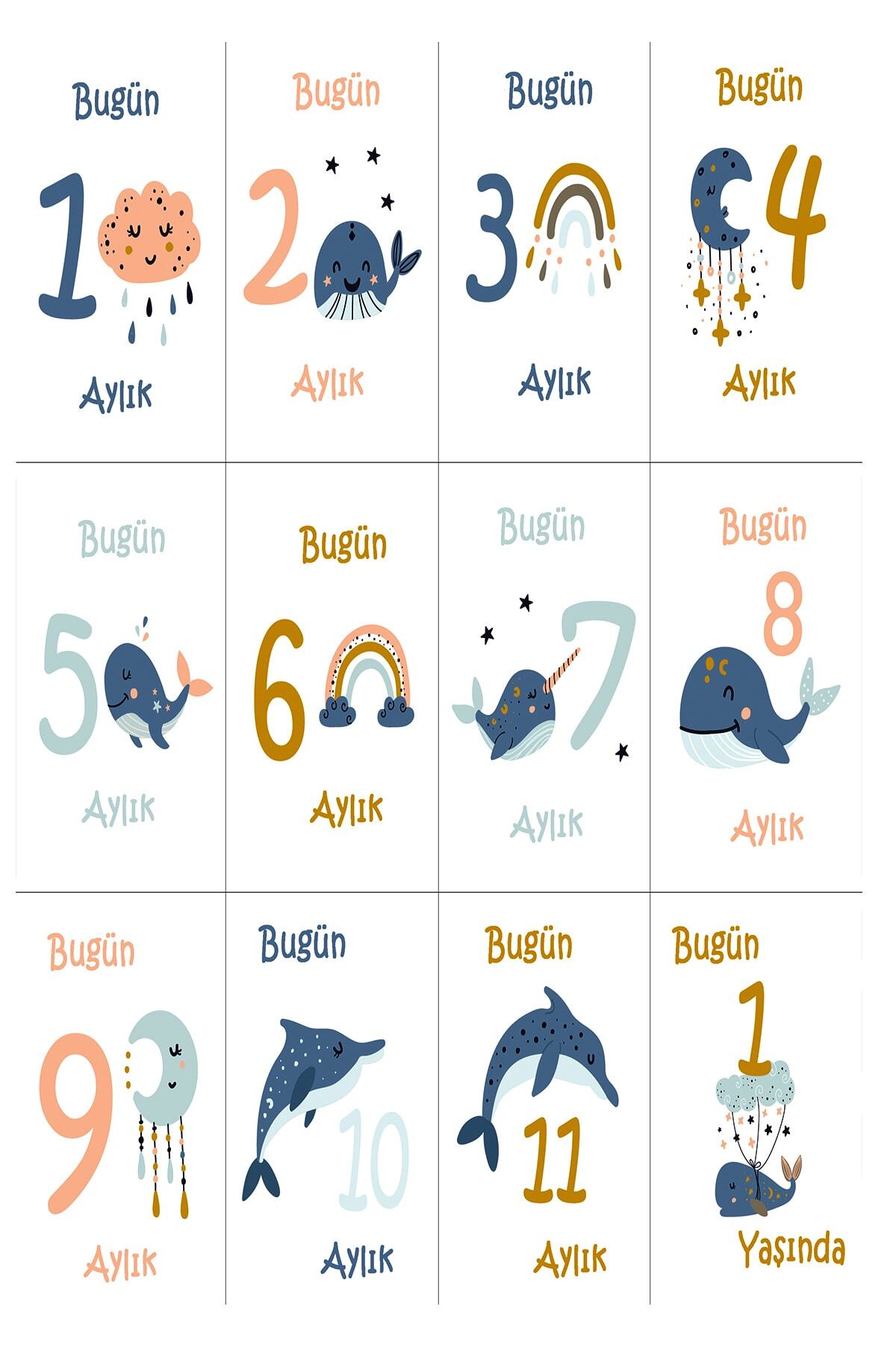 Moky Design Bebek Aylık Anı Kartları, Ay Konsept Fotoğraf Çekimi Hatırası İçin 12'li, Yenidoğan Bebek Hediyeleri fotoğrafı 3 (önizleme)