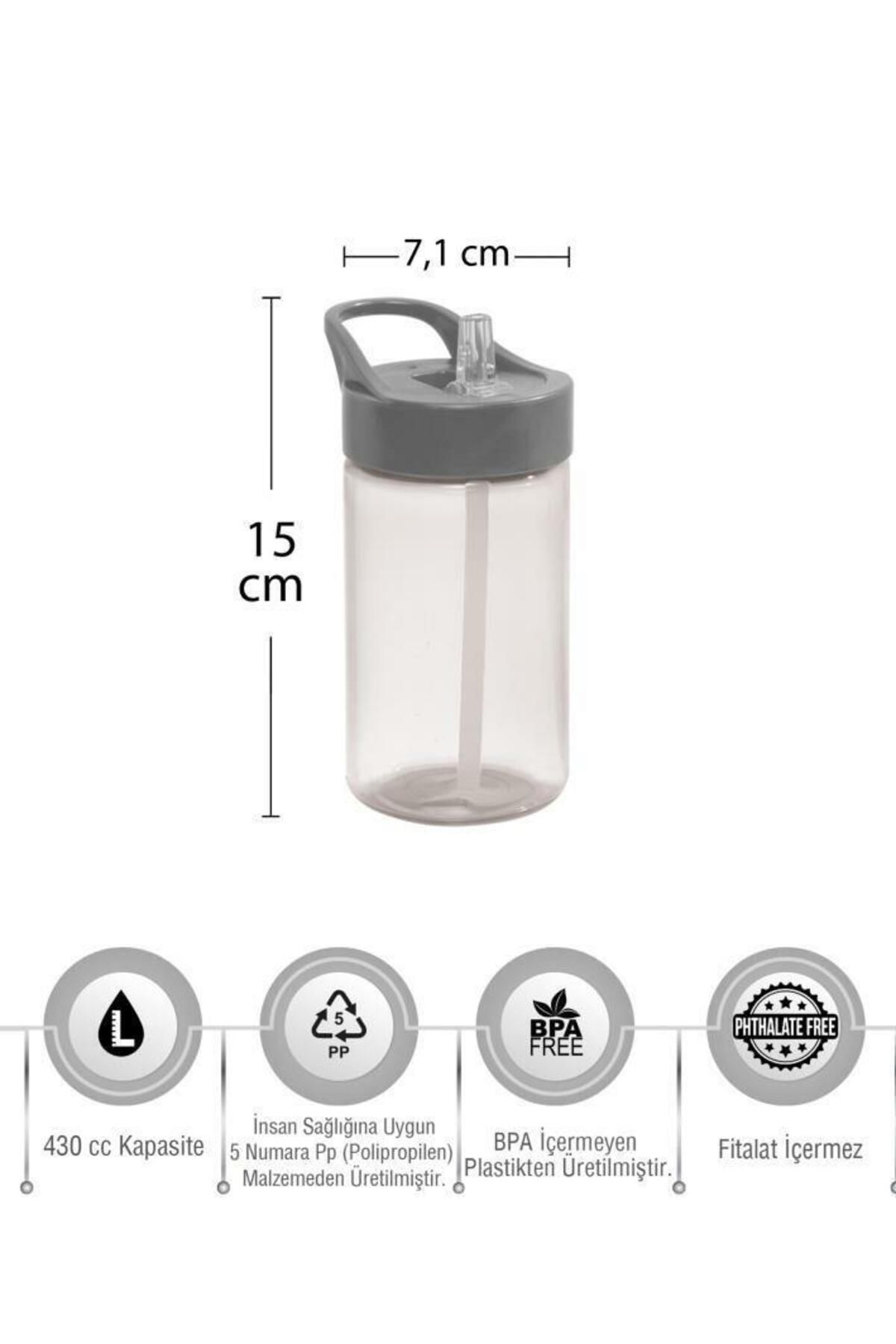 Herevin-430 Cc Patterned Flask with Straw-pp-dinosaur 3